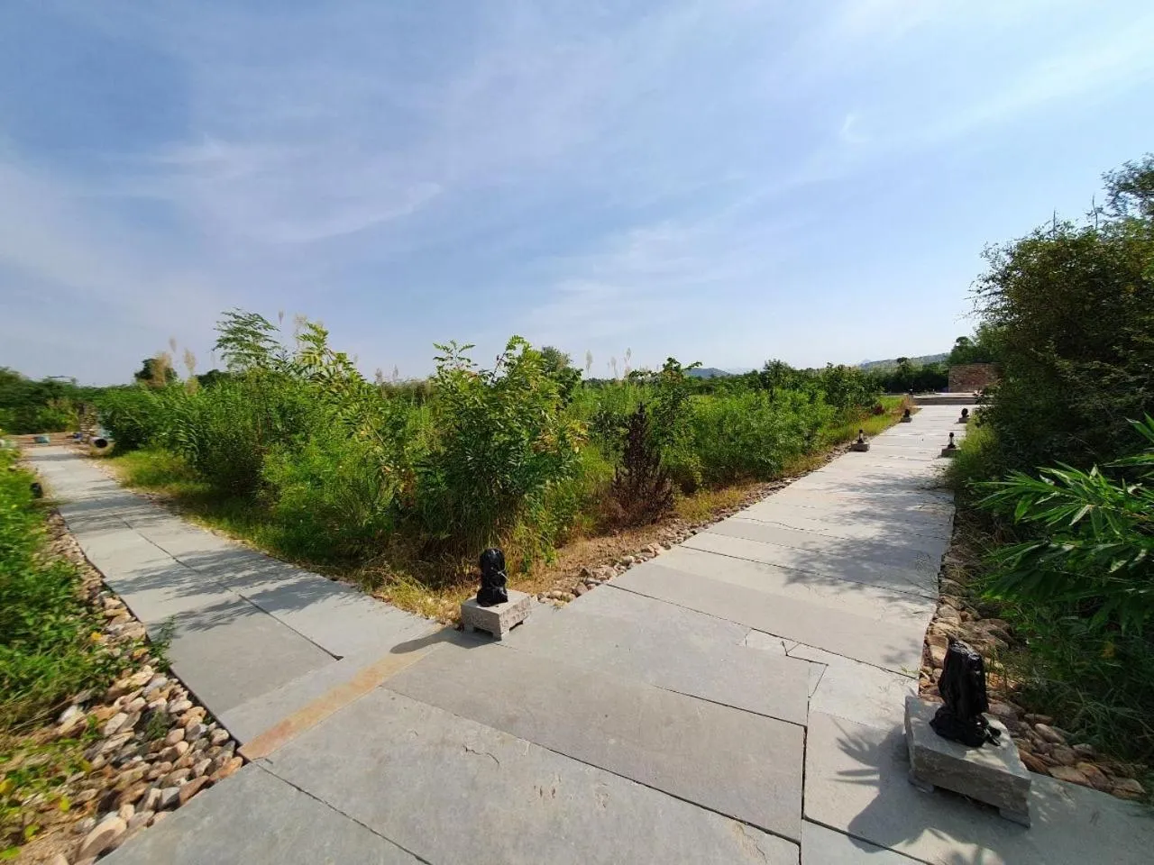 Property building in Bijapur Lodge Jawai