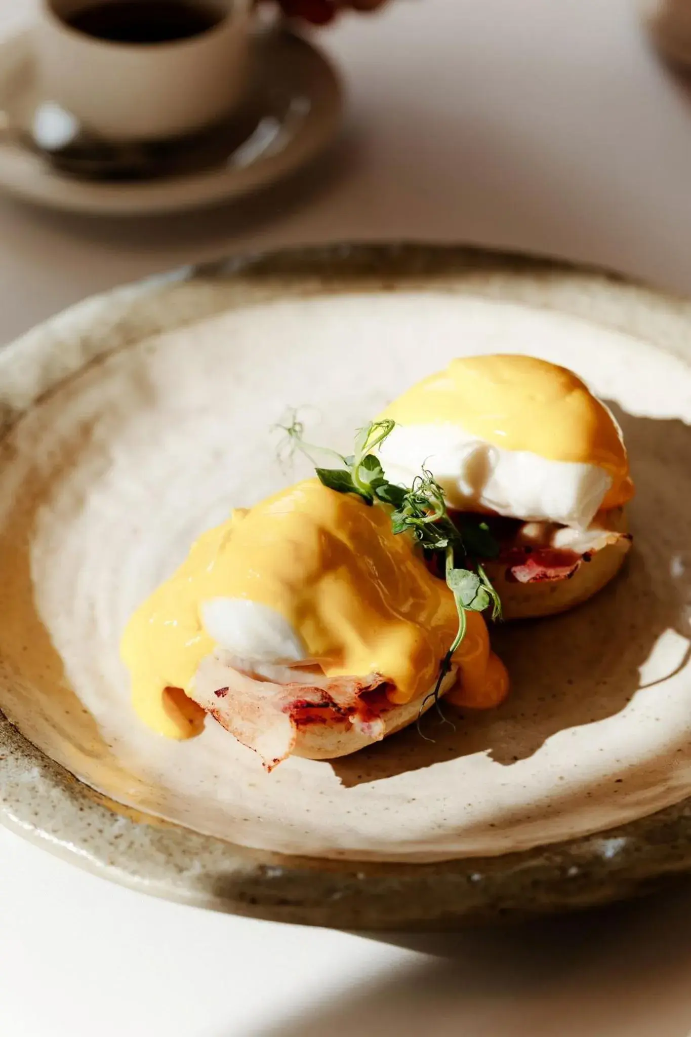 Restaurant/places to eat in Viceroy Kopaonik Serbia Restaurant/places to eat in Viceroy Kopaonik Serbia