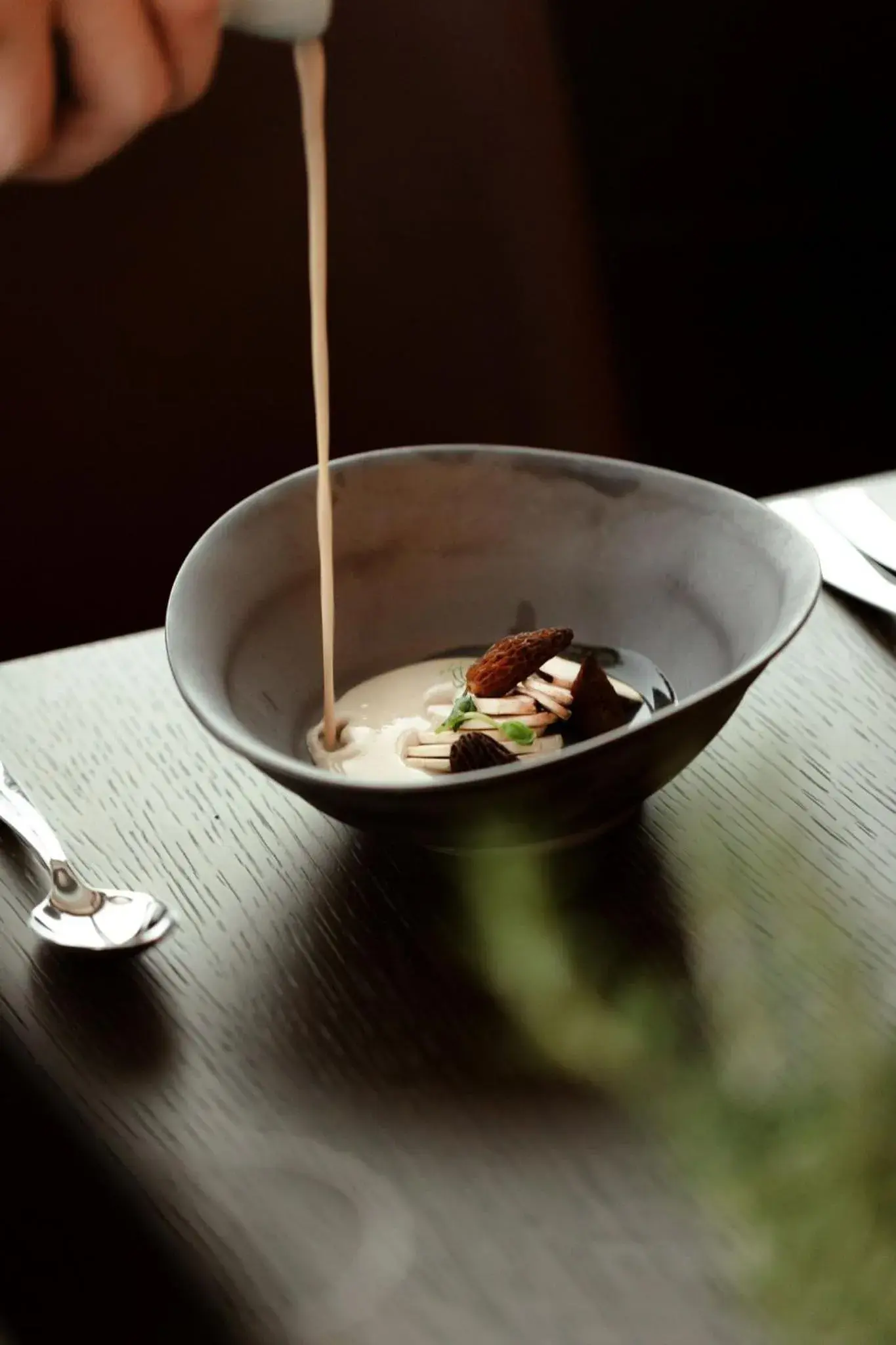 Restaurant/places to eat in Viceroy Kopaonik Serbia Restaurant/places to eat in Viceroy Kopaonik Serbia