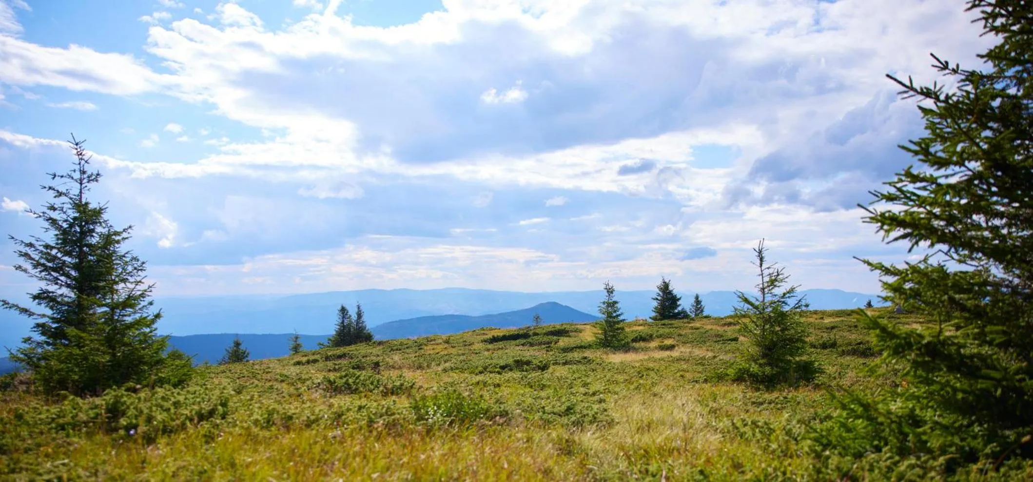 Other in Viceroy Kopaonik Resort & Spa