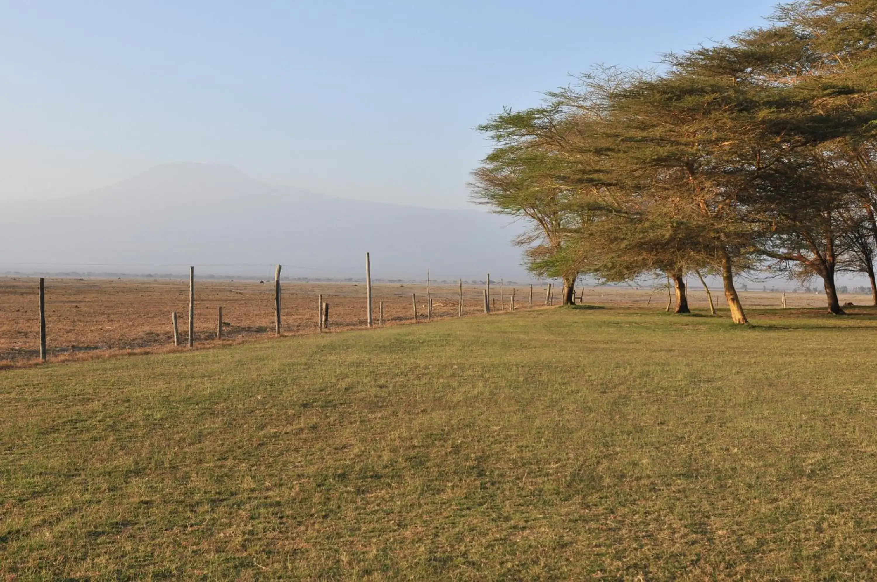 Garden view in Ol Tukai Lodge Amboseli Garden view in Ol Tukai Lodge Amboseli
