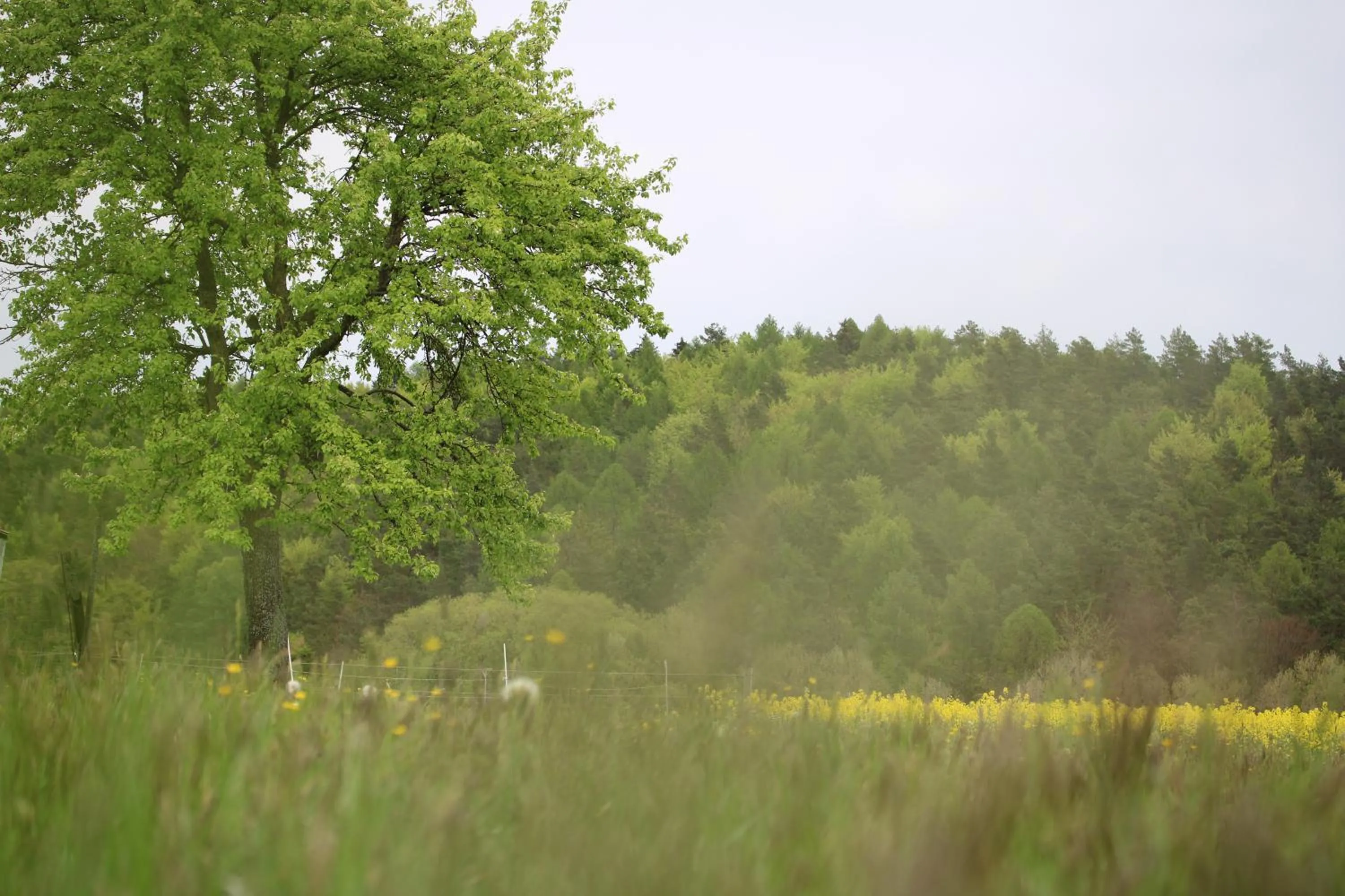 Natural landscape in Gasthaus Hofmann