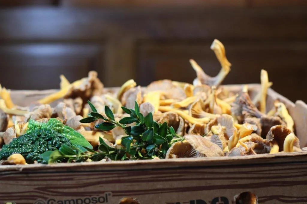 Food and drinks in Gasthaus Hofmann