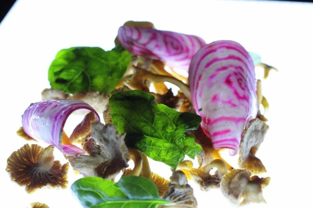 Food and drinks in Gasthaus Hofmann