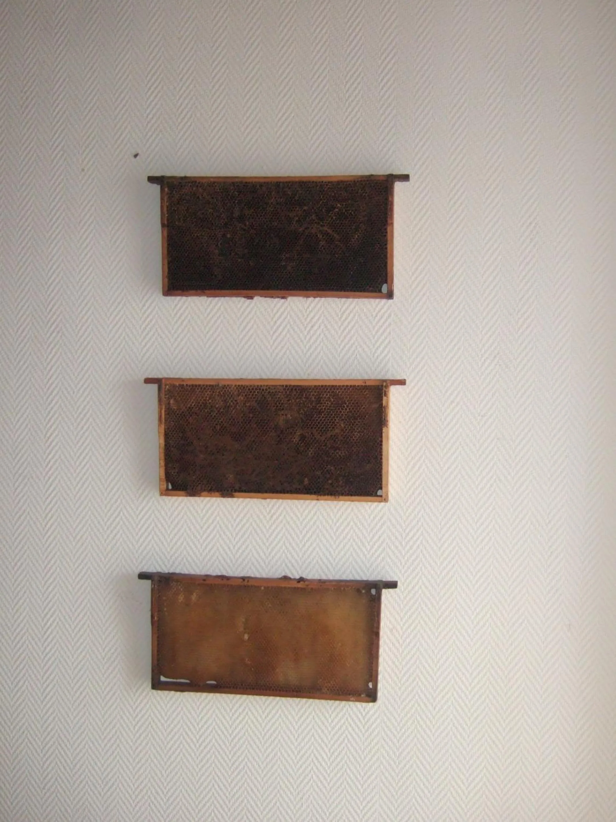 Decorative detail in Gasthaus Hofmann