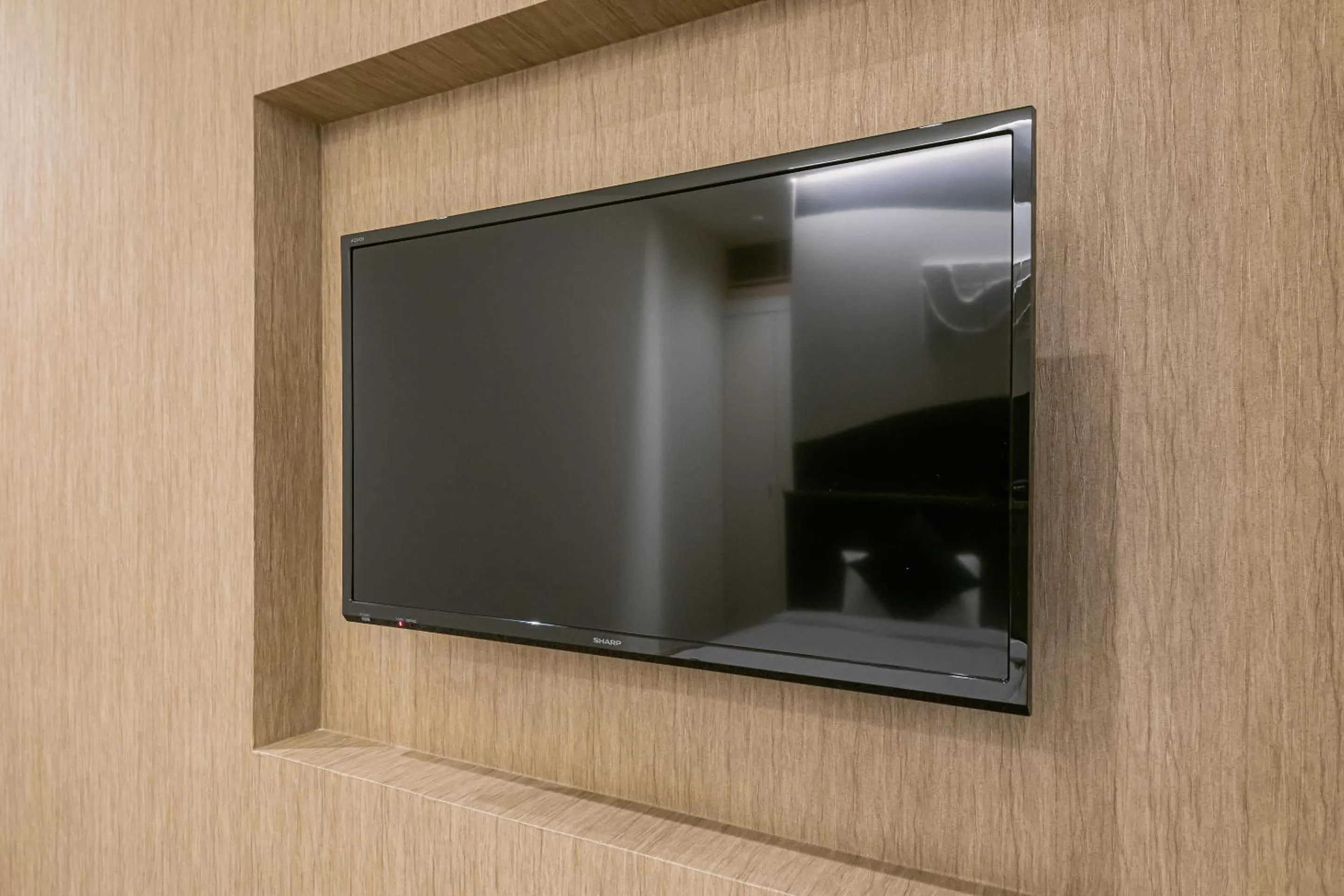 TV and multimedia in Seiei Hotel Kyoto Kawaramachi