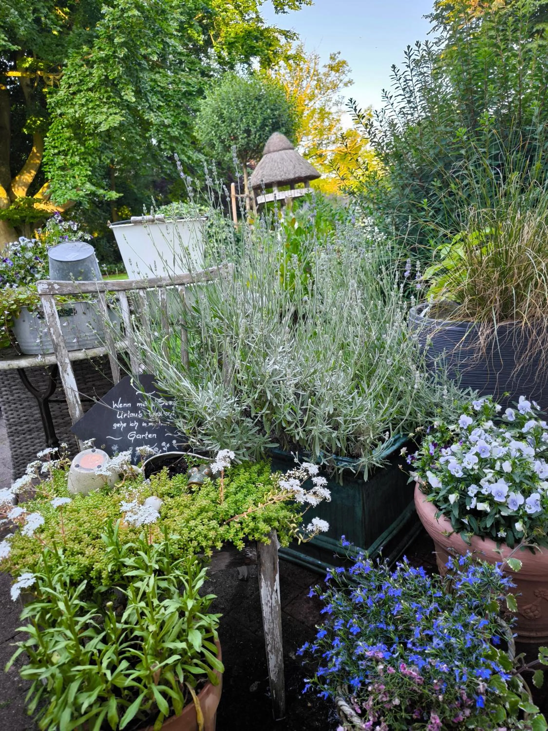 Golf- & Landhotel am alten Deich