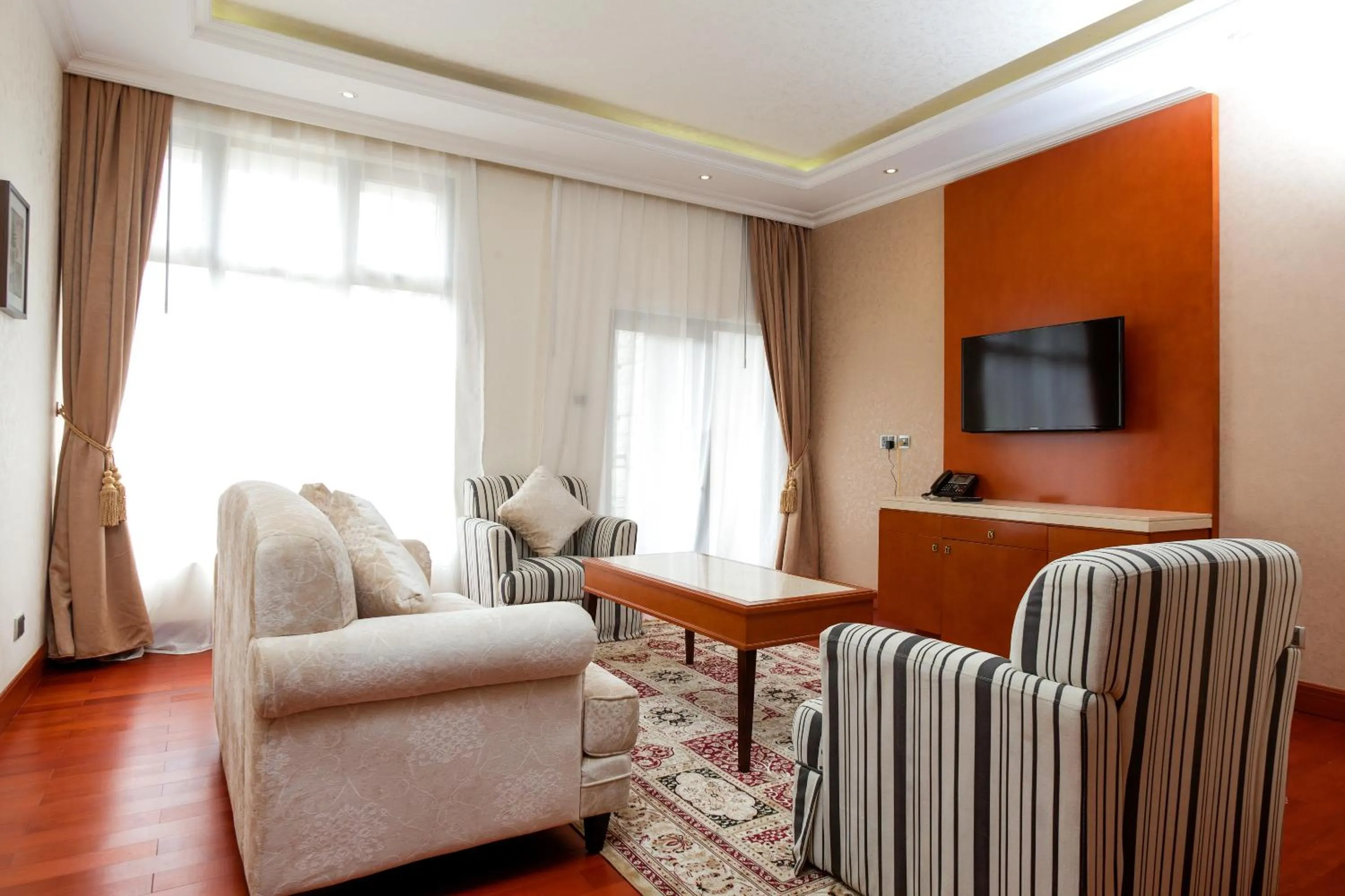 Living room in Alba Hotel Meru