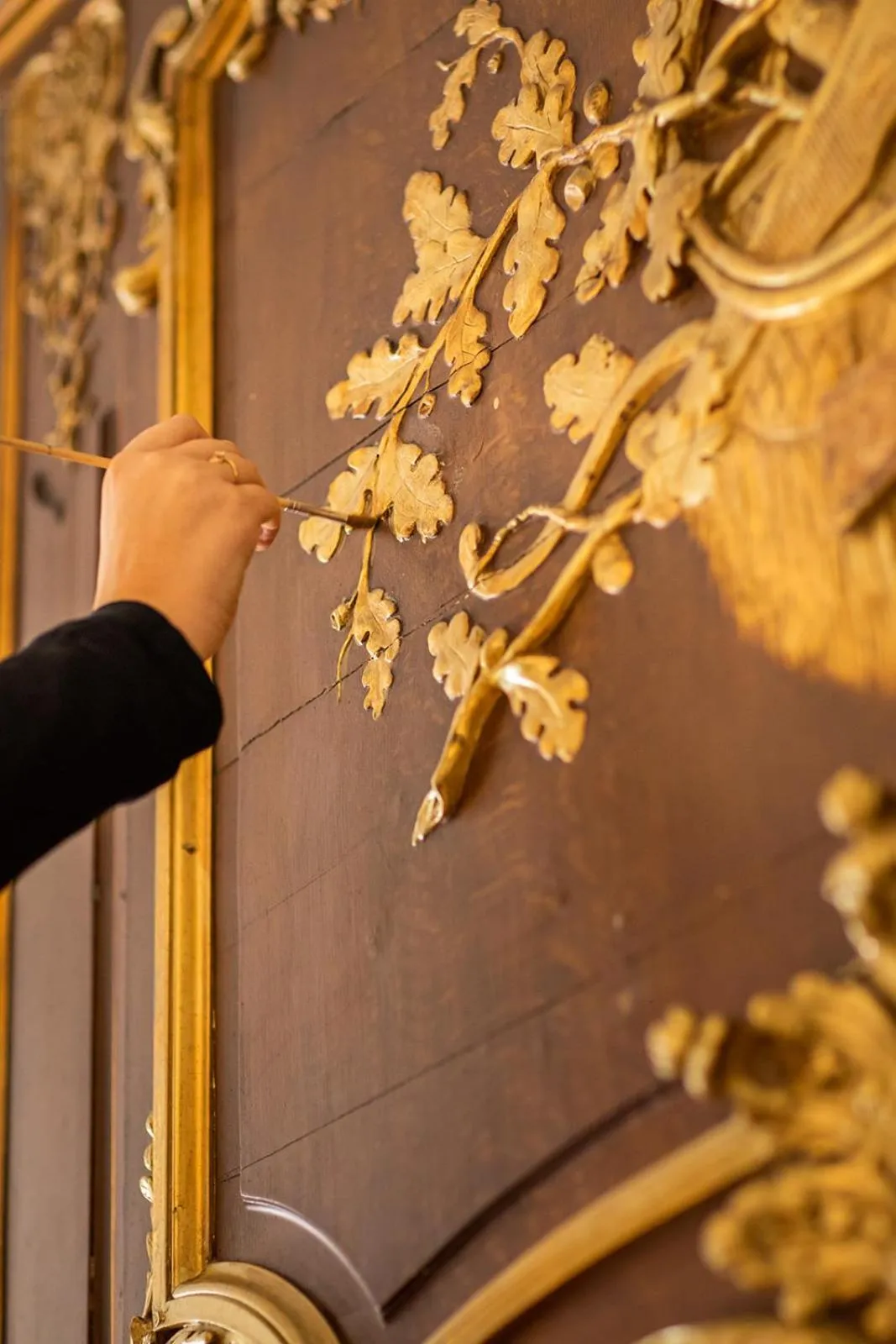 Property building in La Maison TATIN