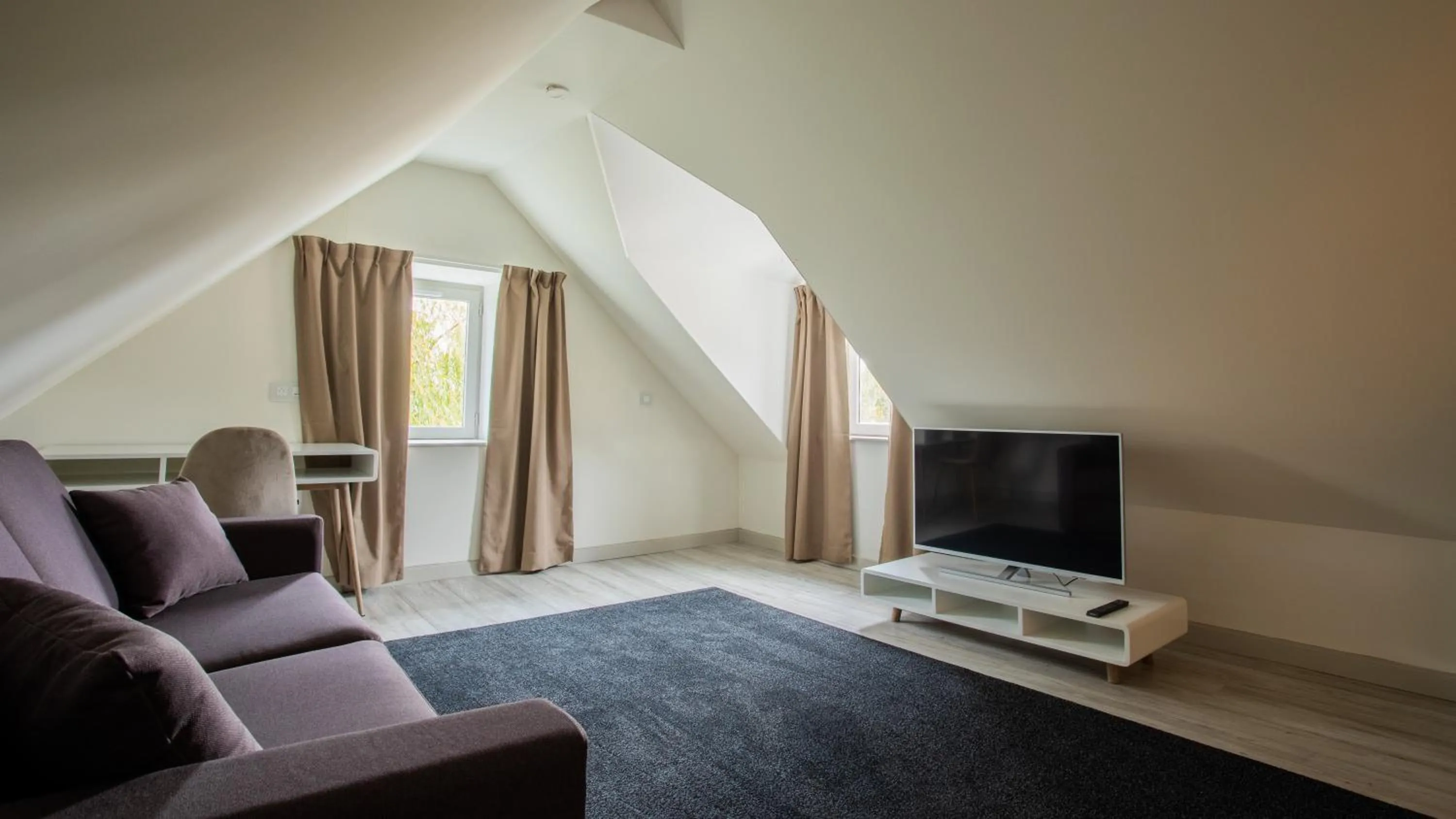 TV and multimedia in La Maison TATIN