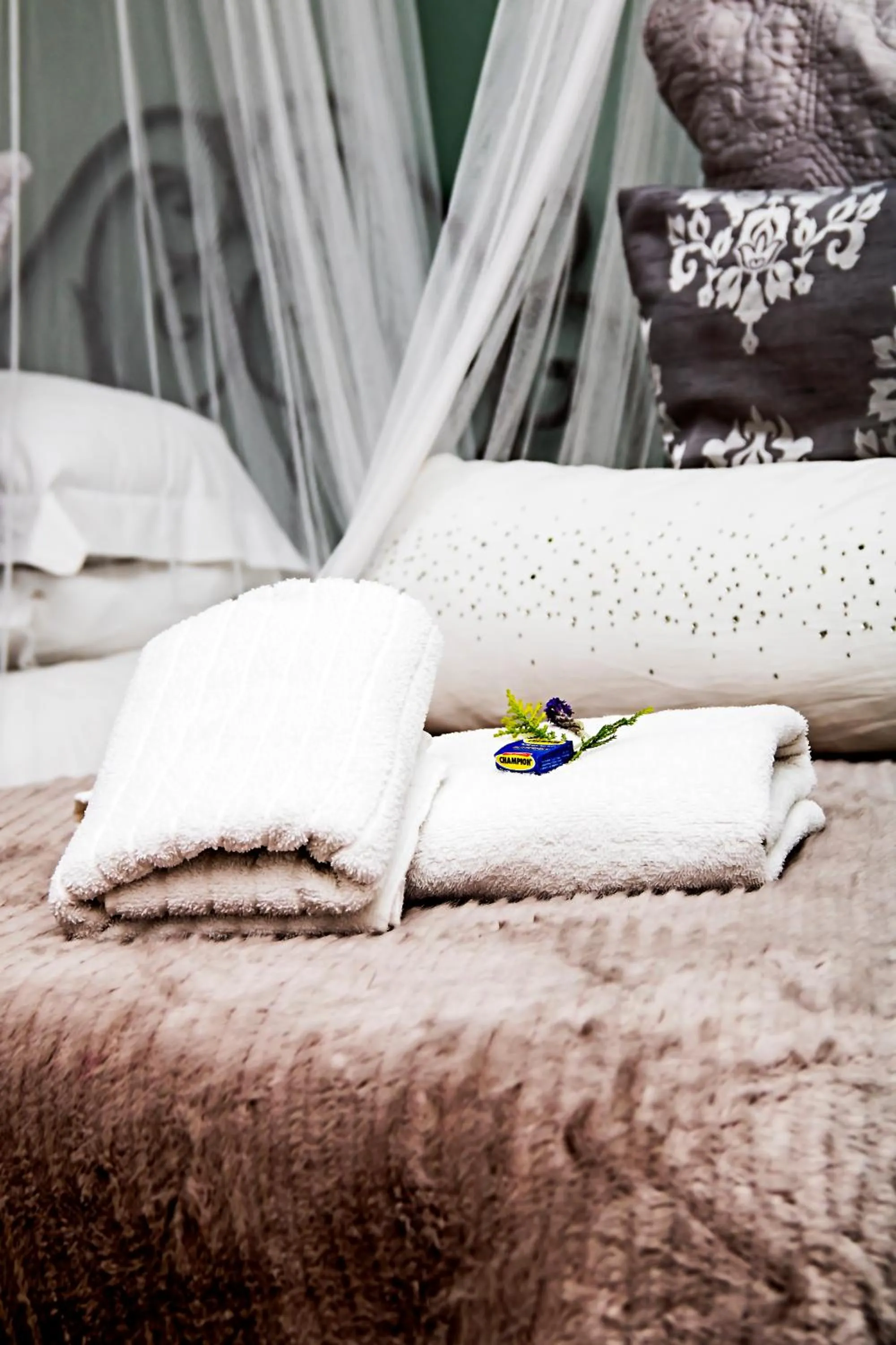 Bed in Cape Karoo Guesthouse