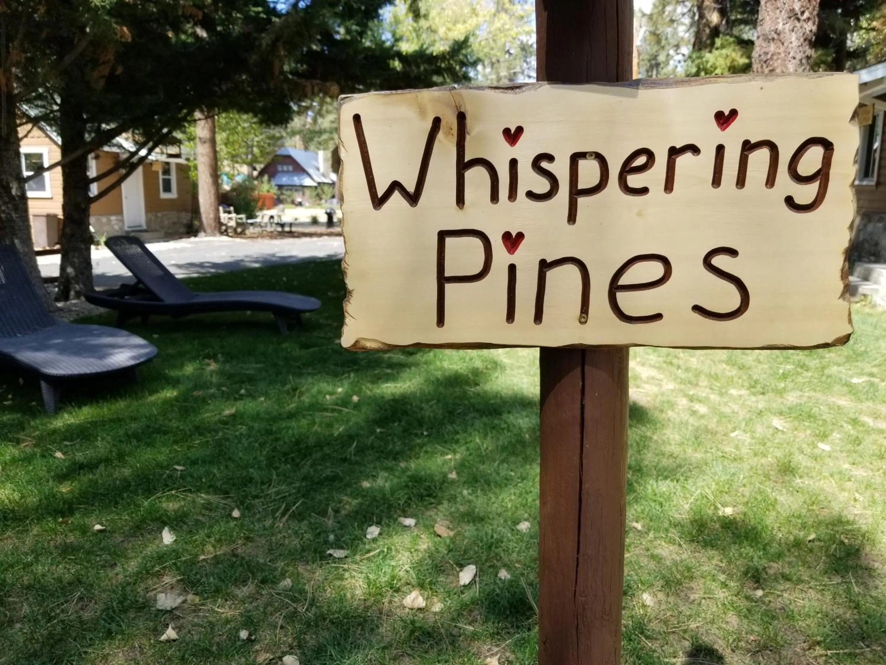 Property logo or sign in Grey Squirrel Resort