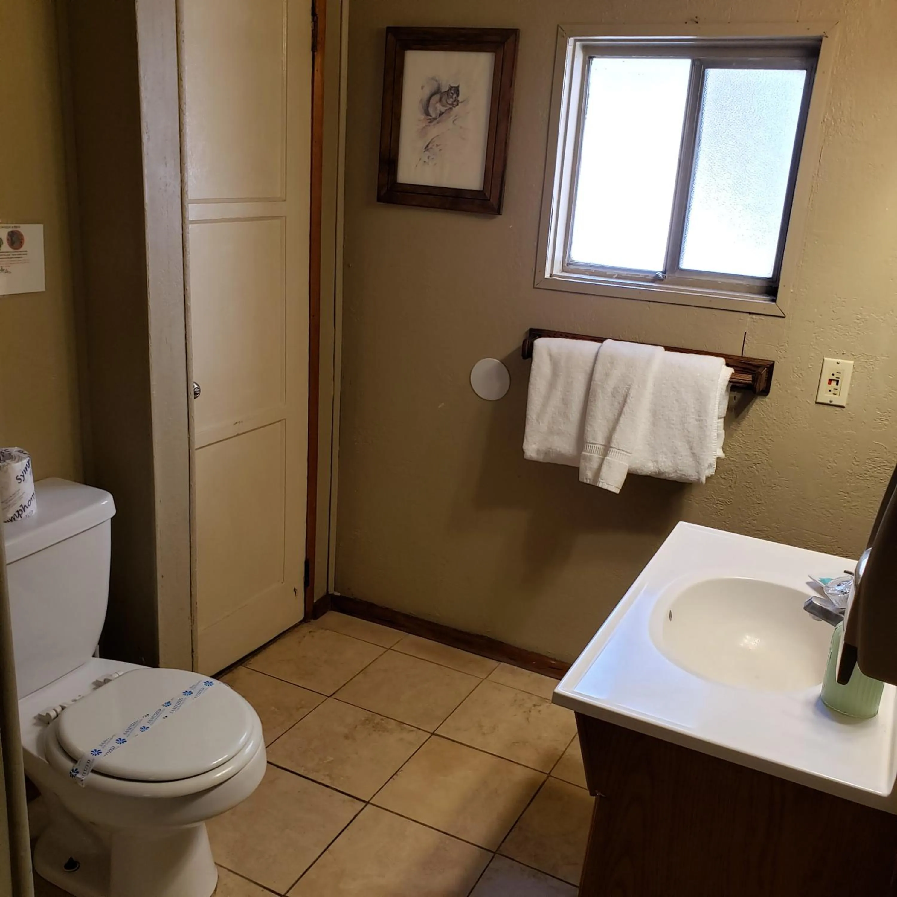 Bathroom in Grey Squirrel Resort