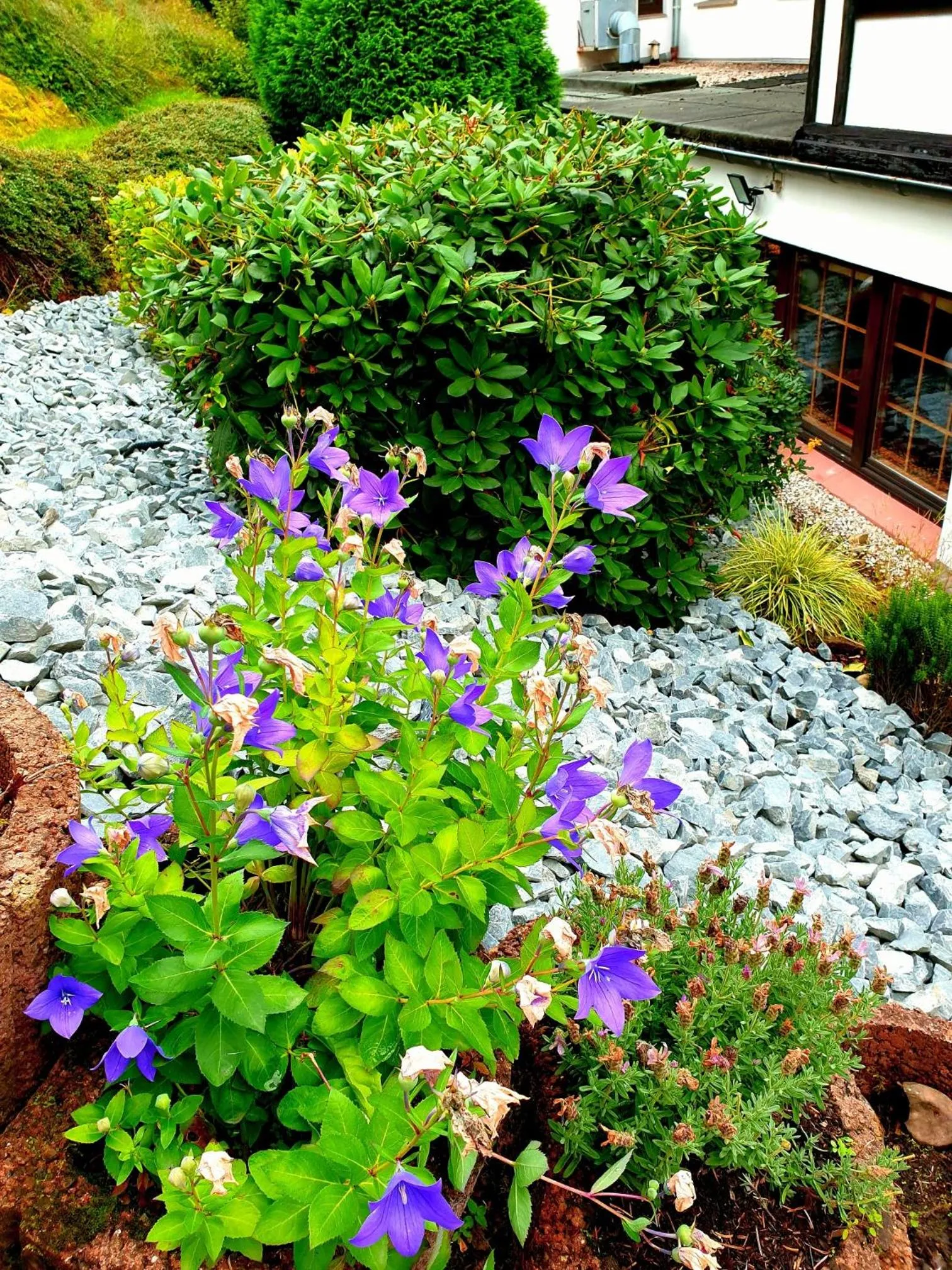 Landhotel Goldener Acker