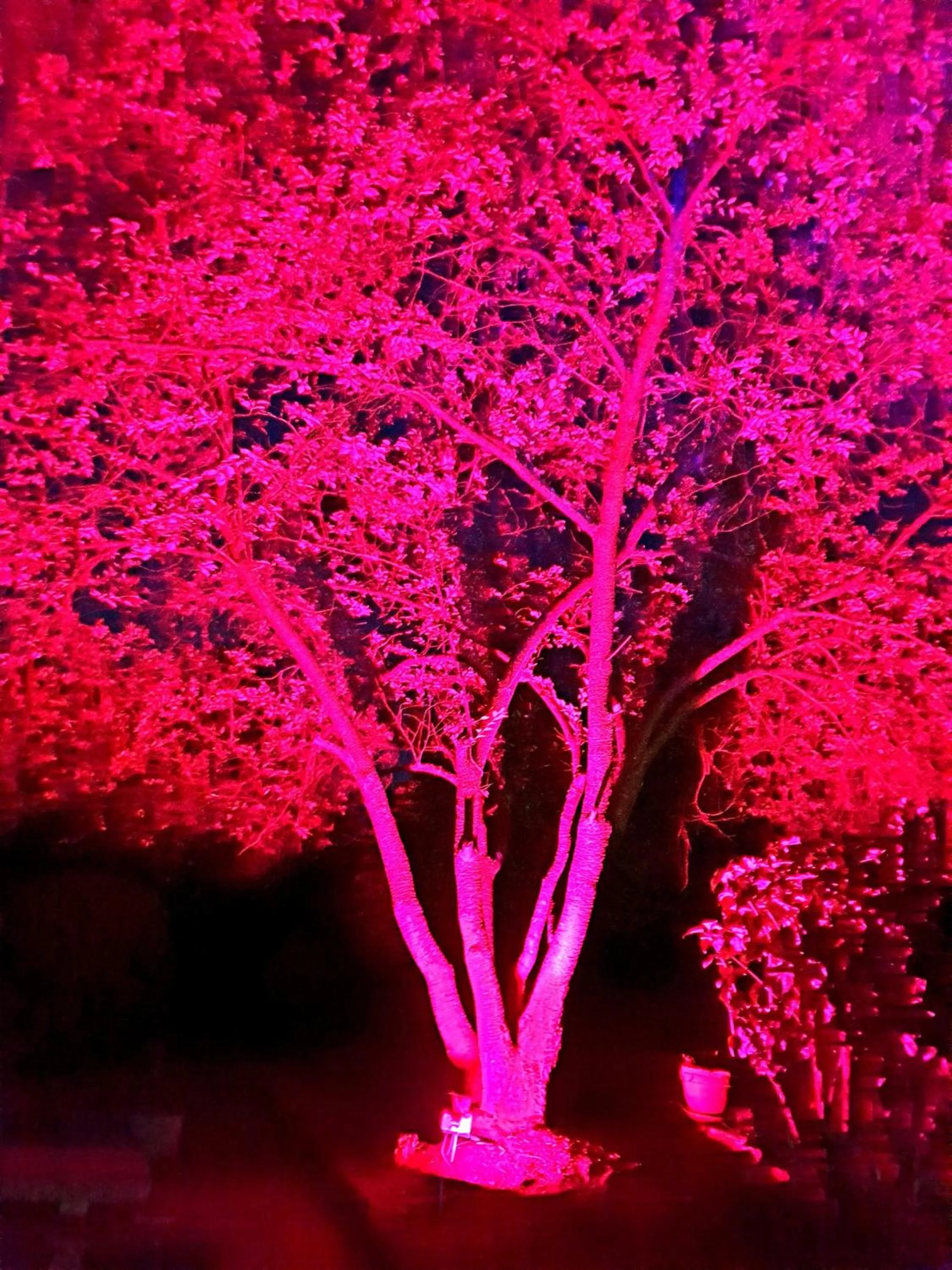 Landhotel Goldener Acker