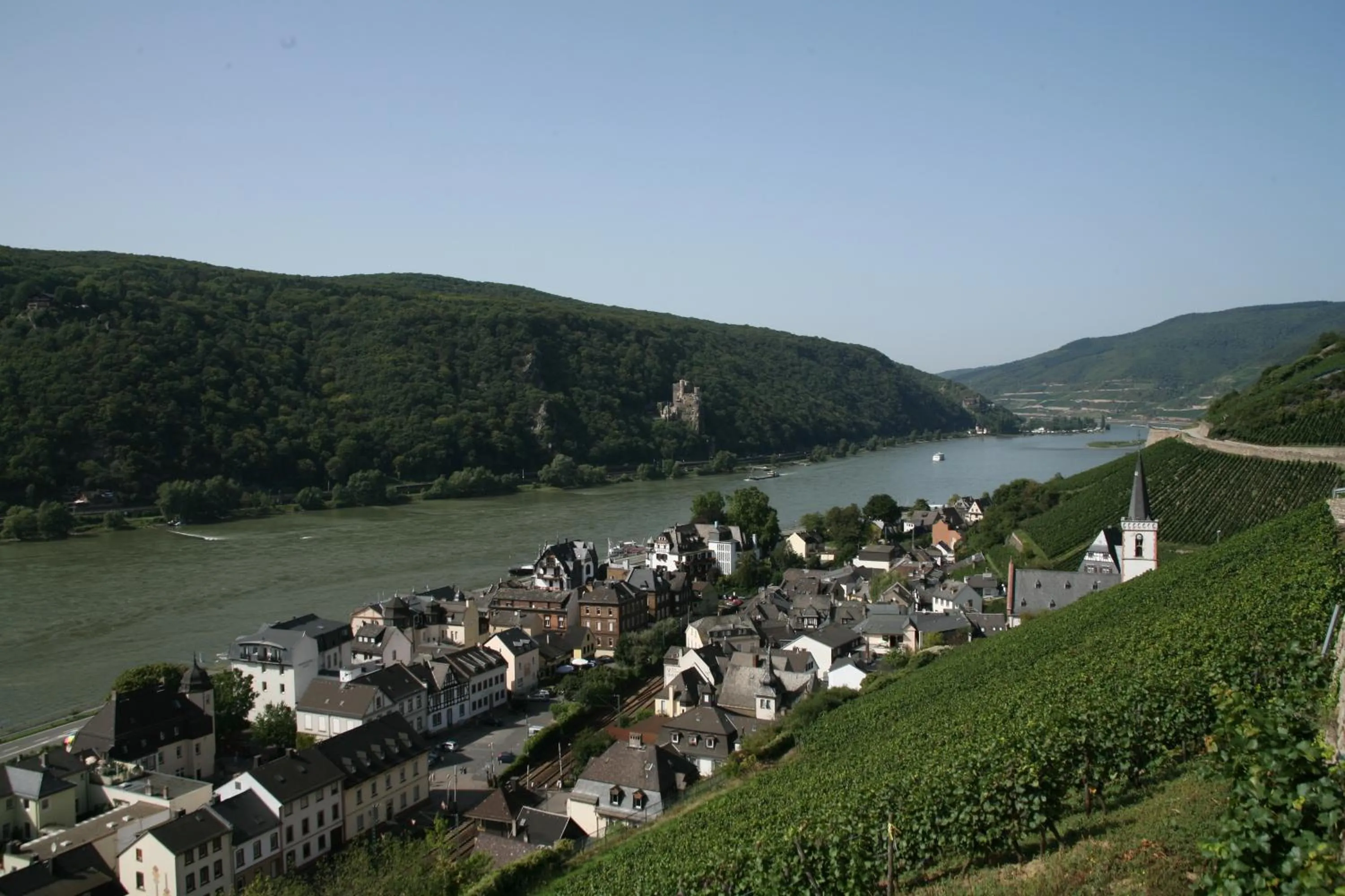 Area and facilities in Rheinhotel Lamm