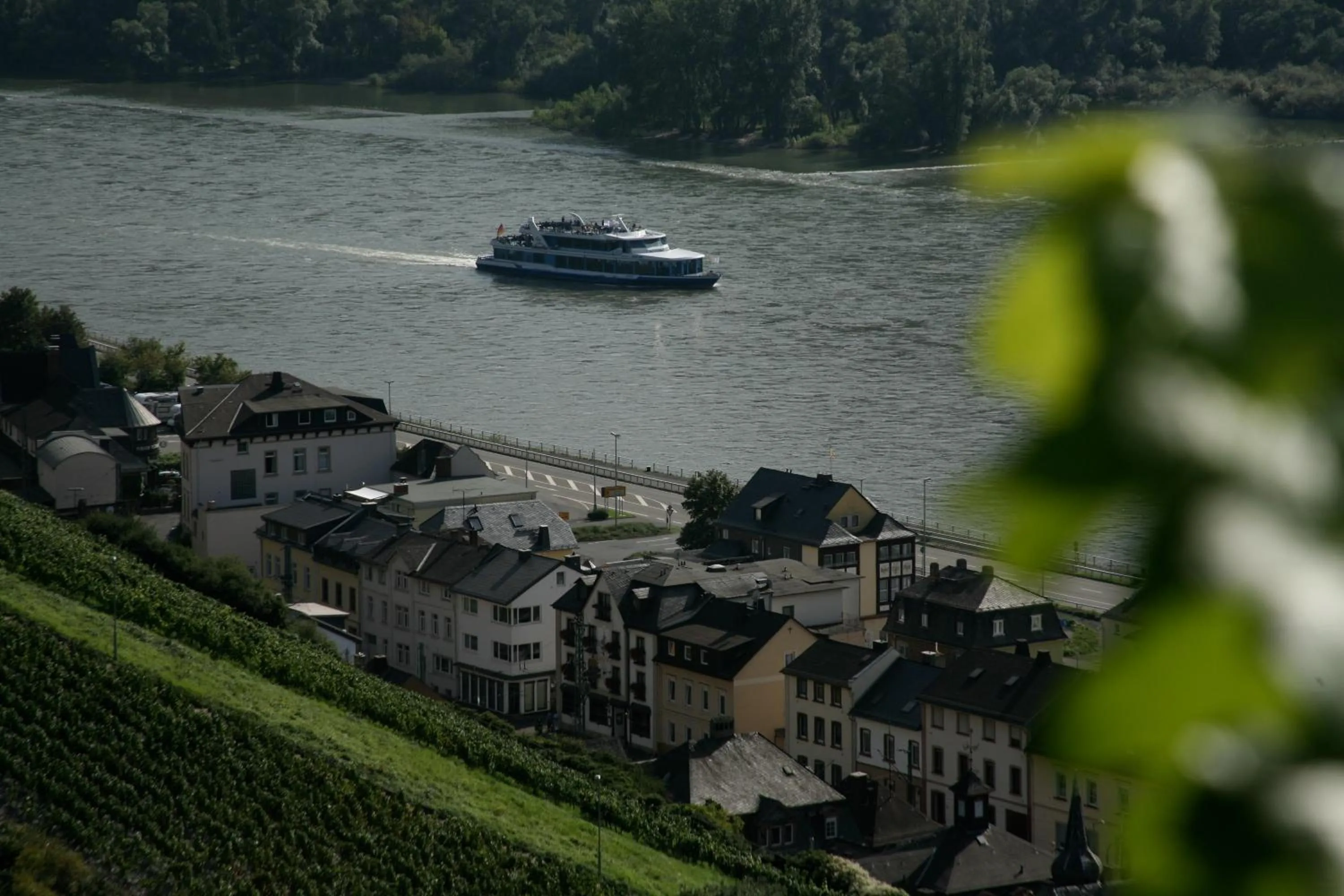 Area and facilities in Rheinhotel Lamm