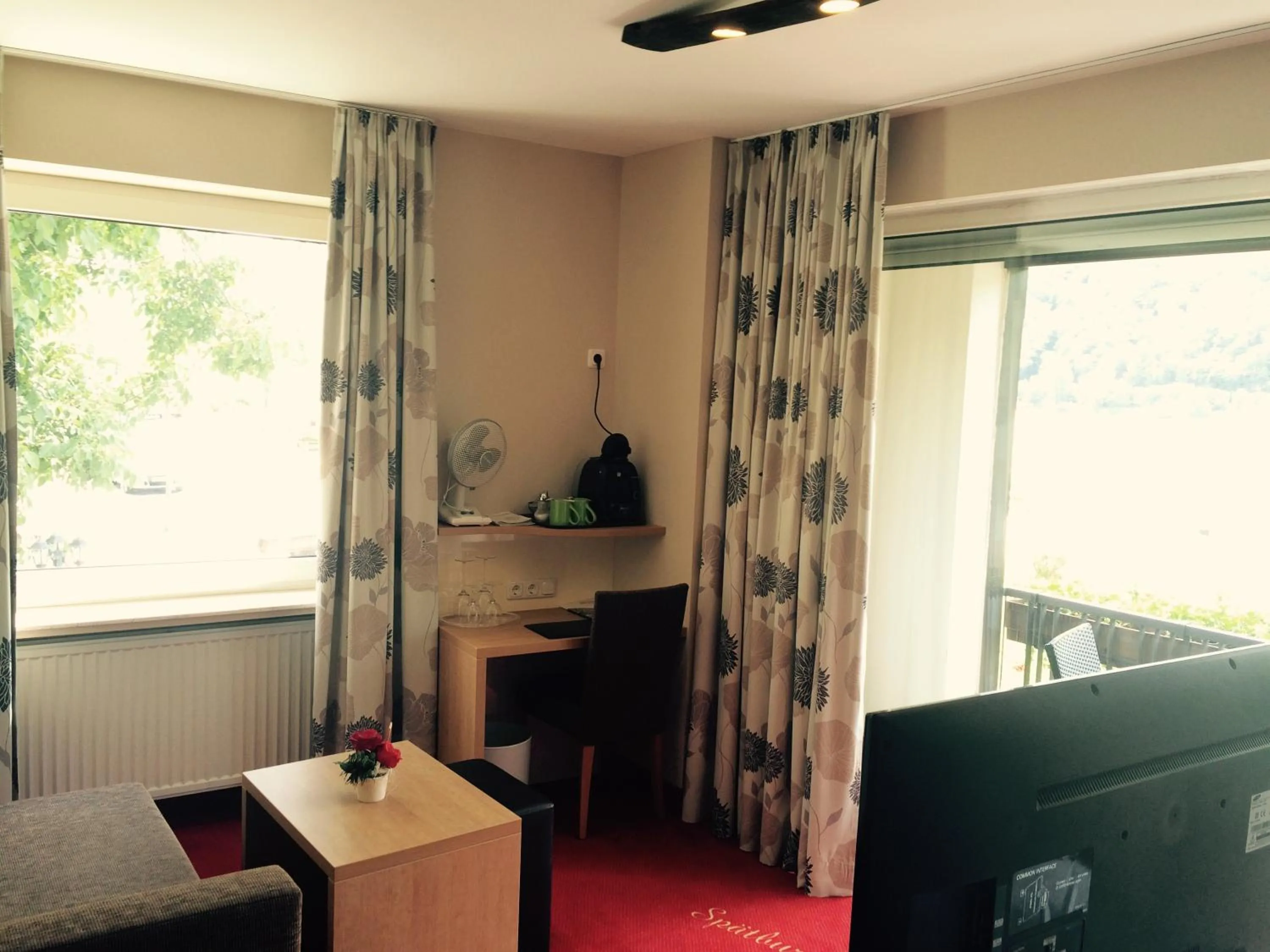 Day in Rheinhotel Lamm