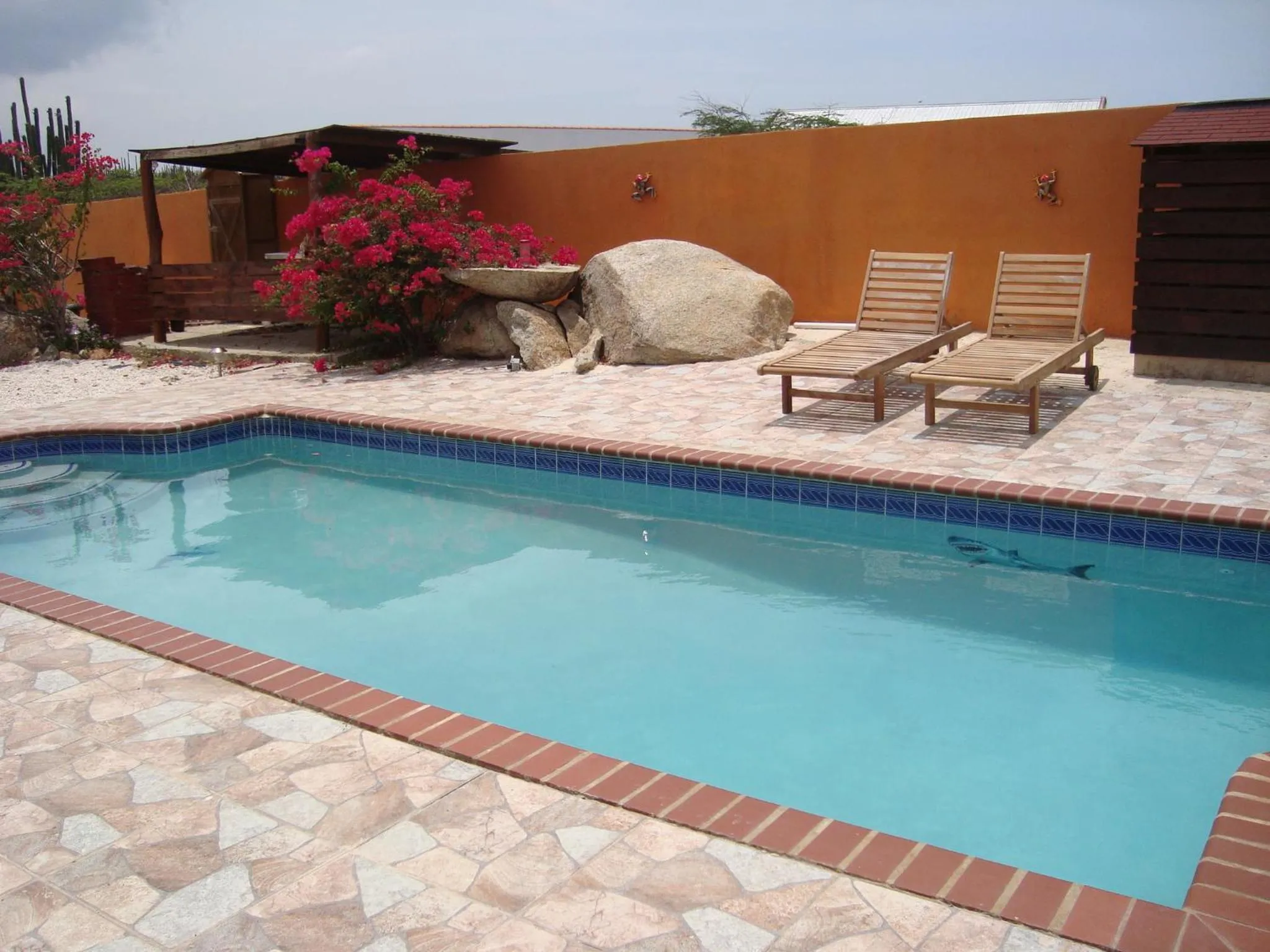 Swimming pool in Fuego Mio Bed & Breakfast