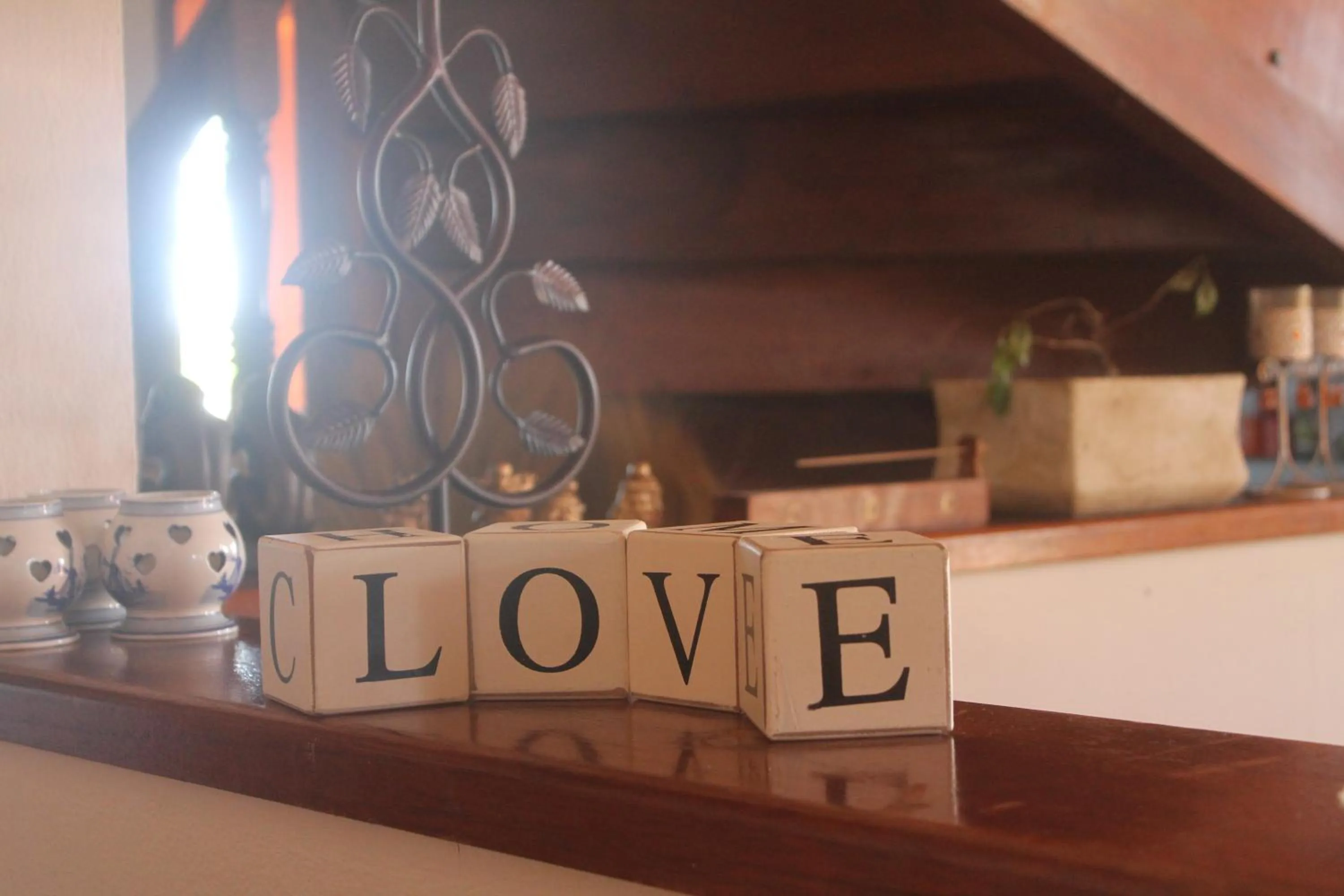 Fuego Mio Bed & Breakfast