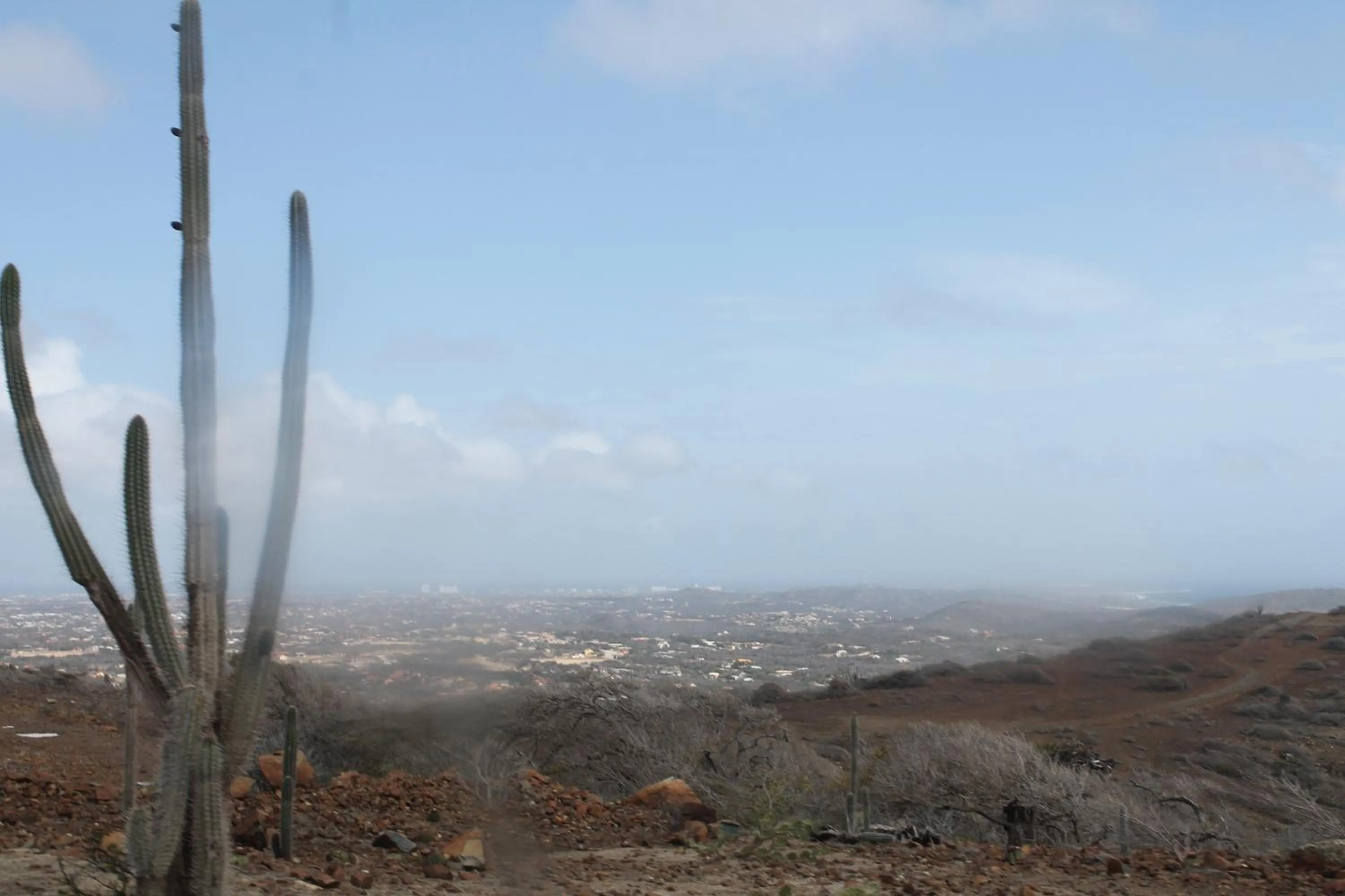 Area and facilities in Fuego Mio Bed & Breakfast