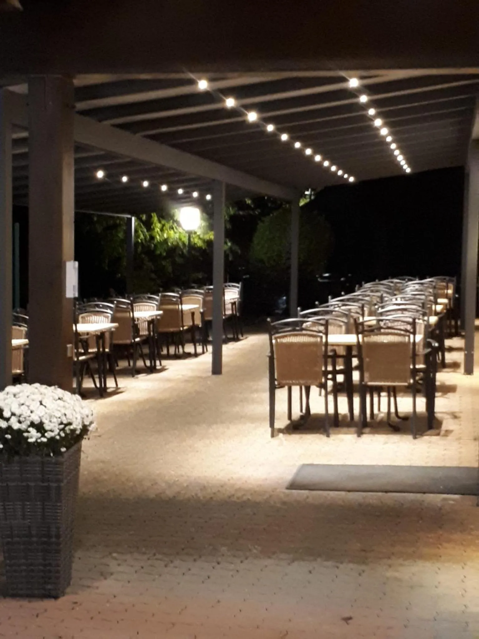 Restaurant/places to eat in Seehotel Losheim