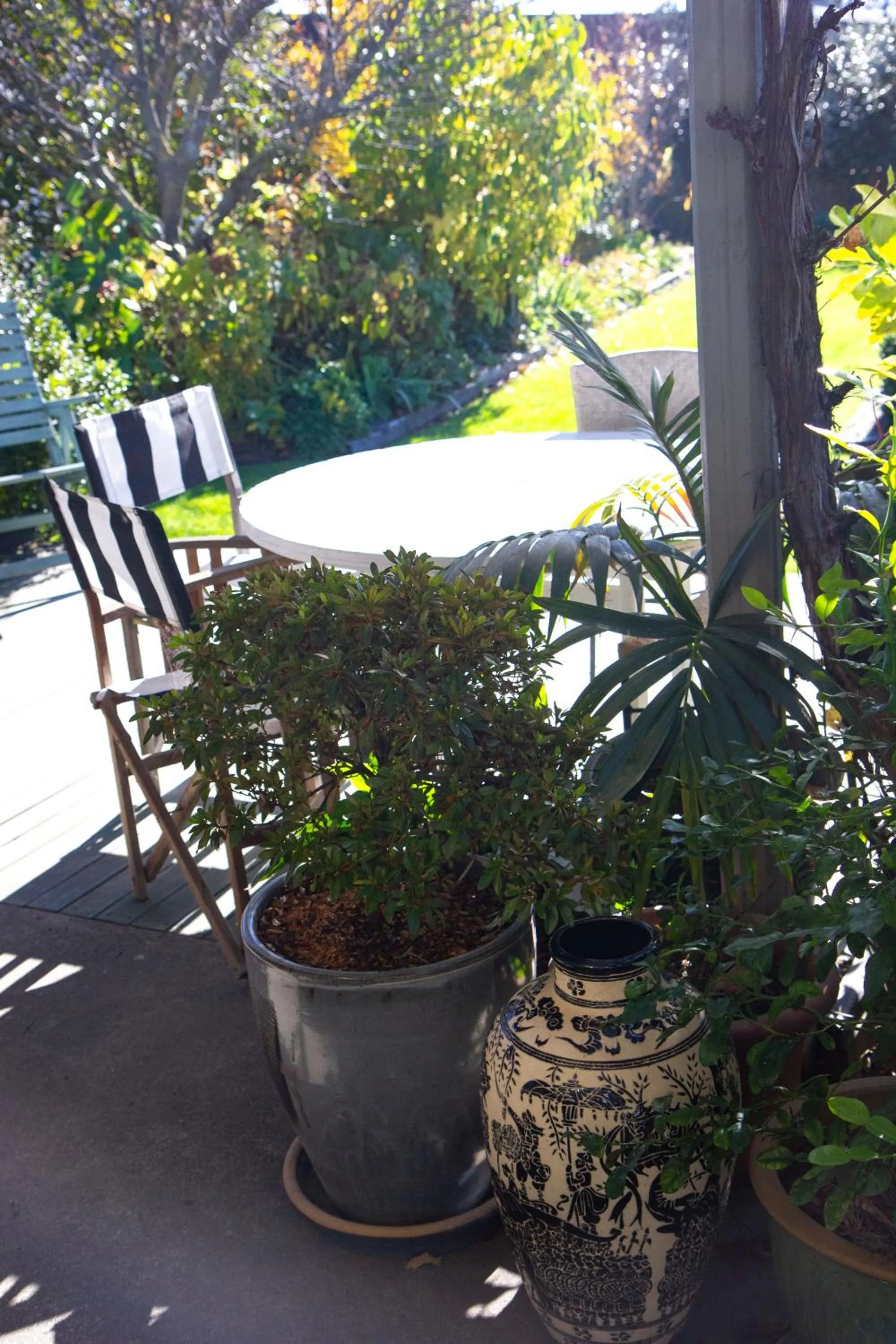 Garden view in Magnolia House