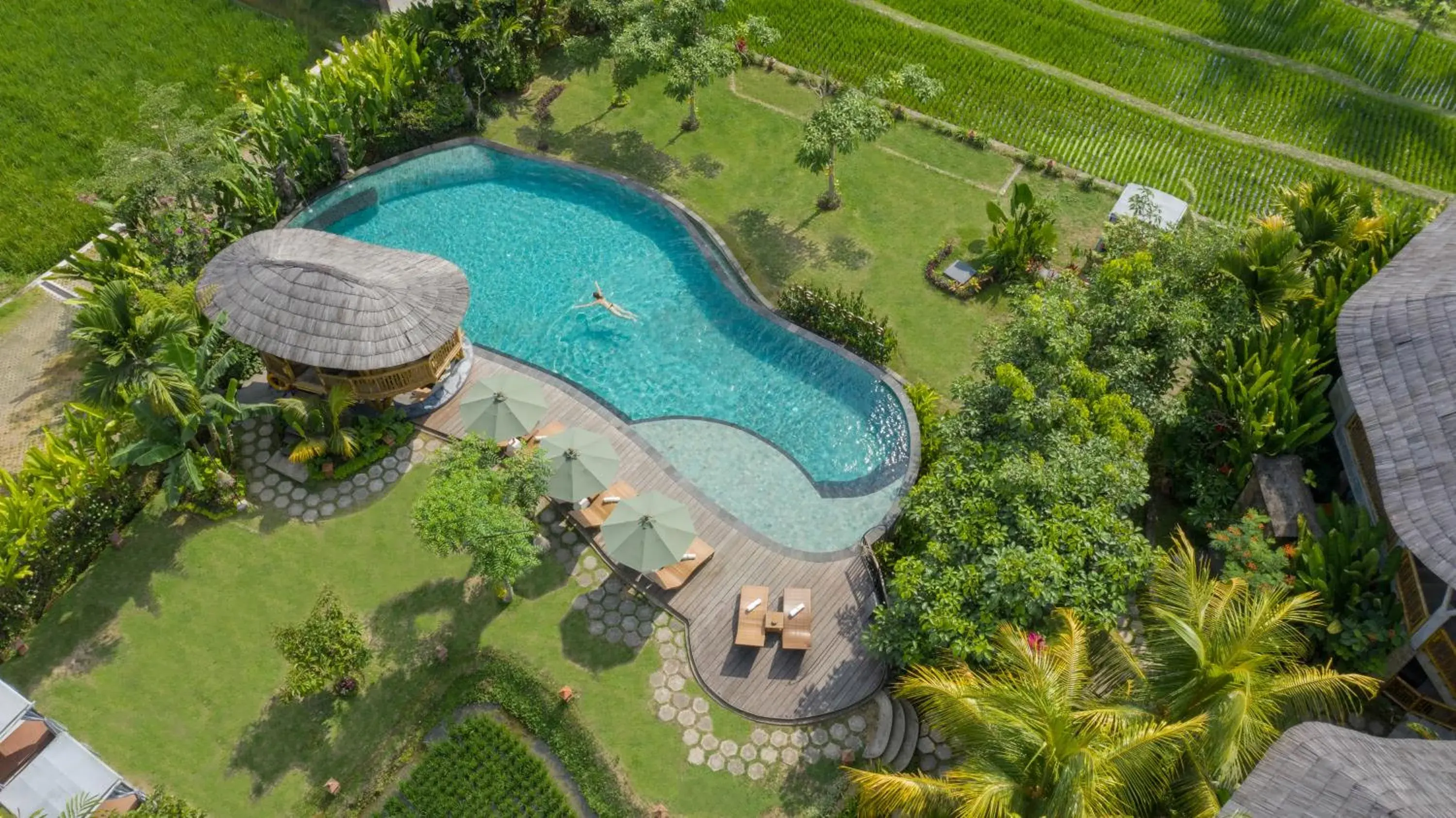 Swimming pool in thewakanda Resort A Pramana Experience Swimming pool in thewakanda Resort A Pramana Experience