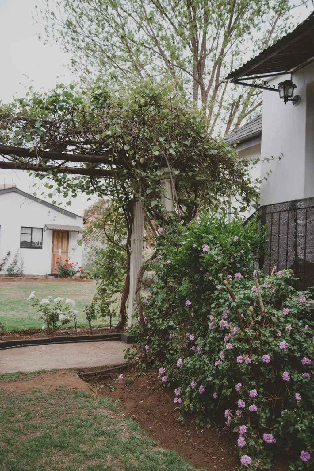 Garden in Lydenburg Manor Guest House