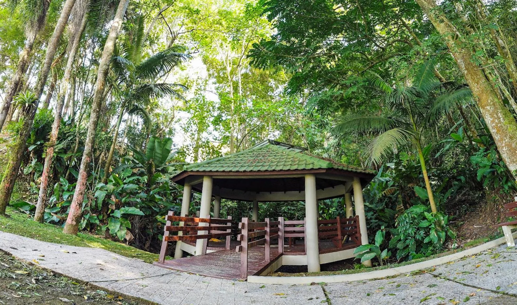 Natural landscape in Hotel Termas da Guarda