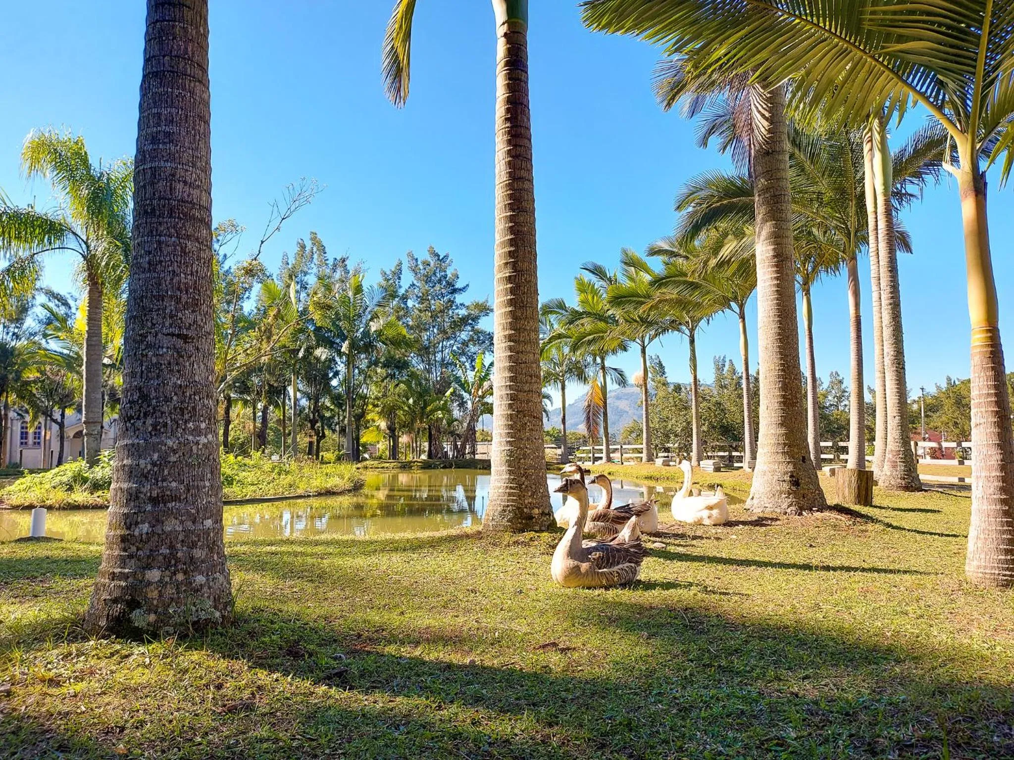 Garden in Hotel Termas da Guarda