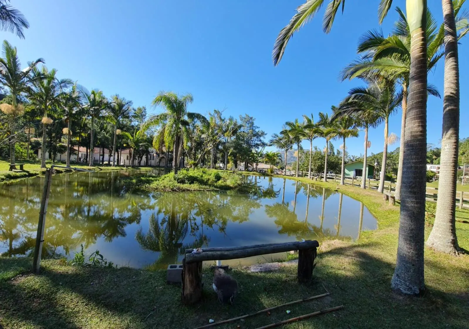 Hotel Termas da Guarda