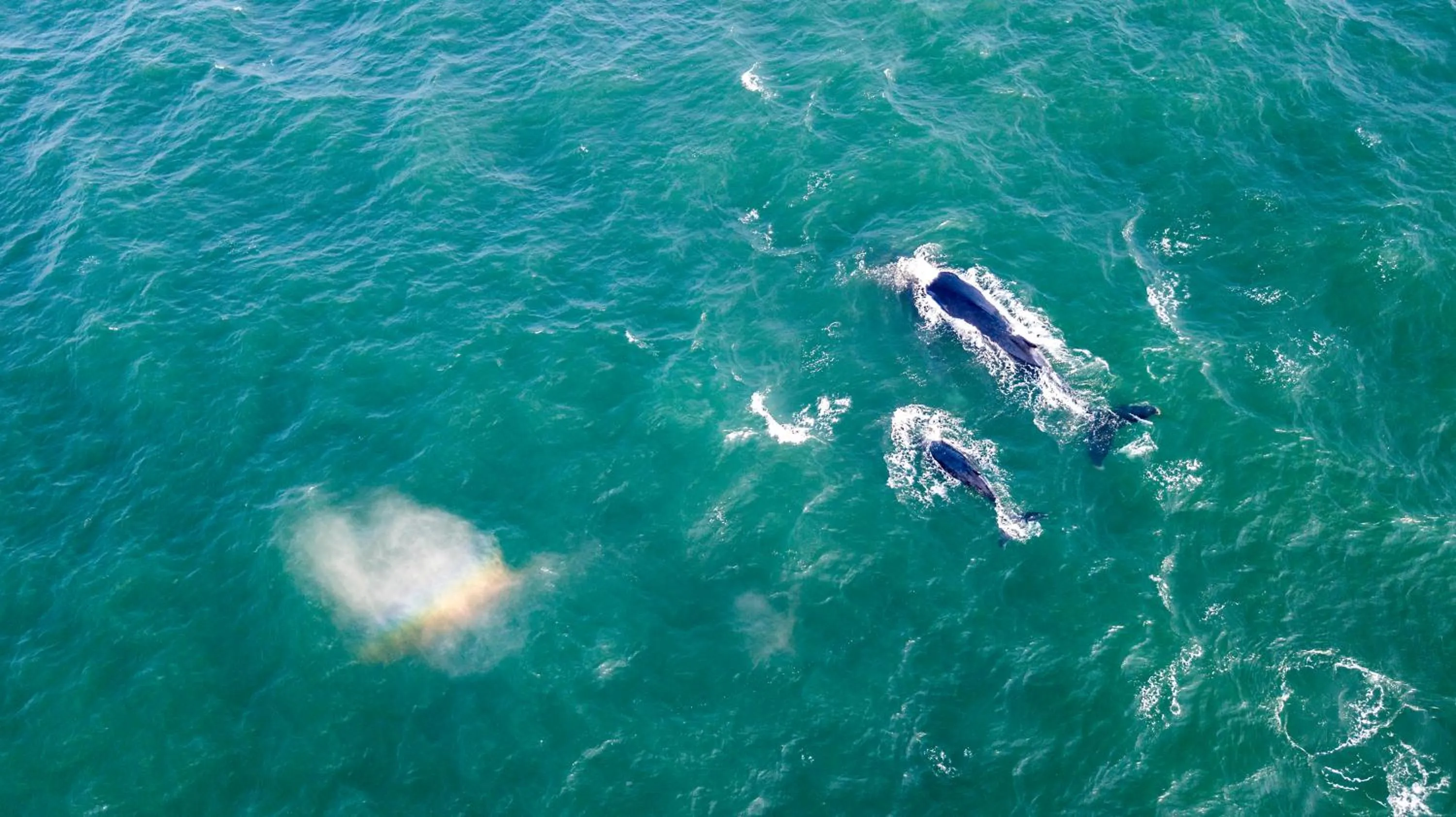 Beach in Danara Place