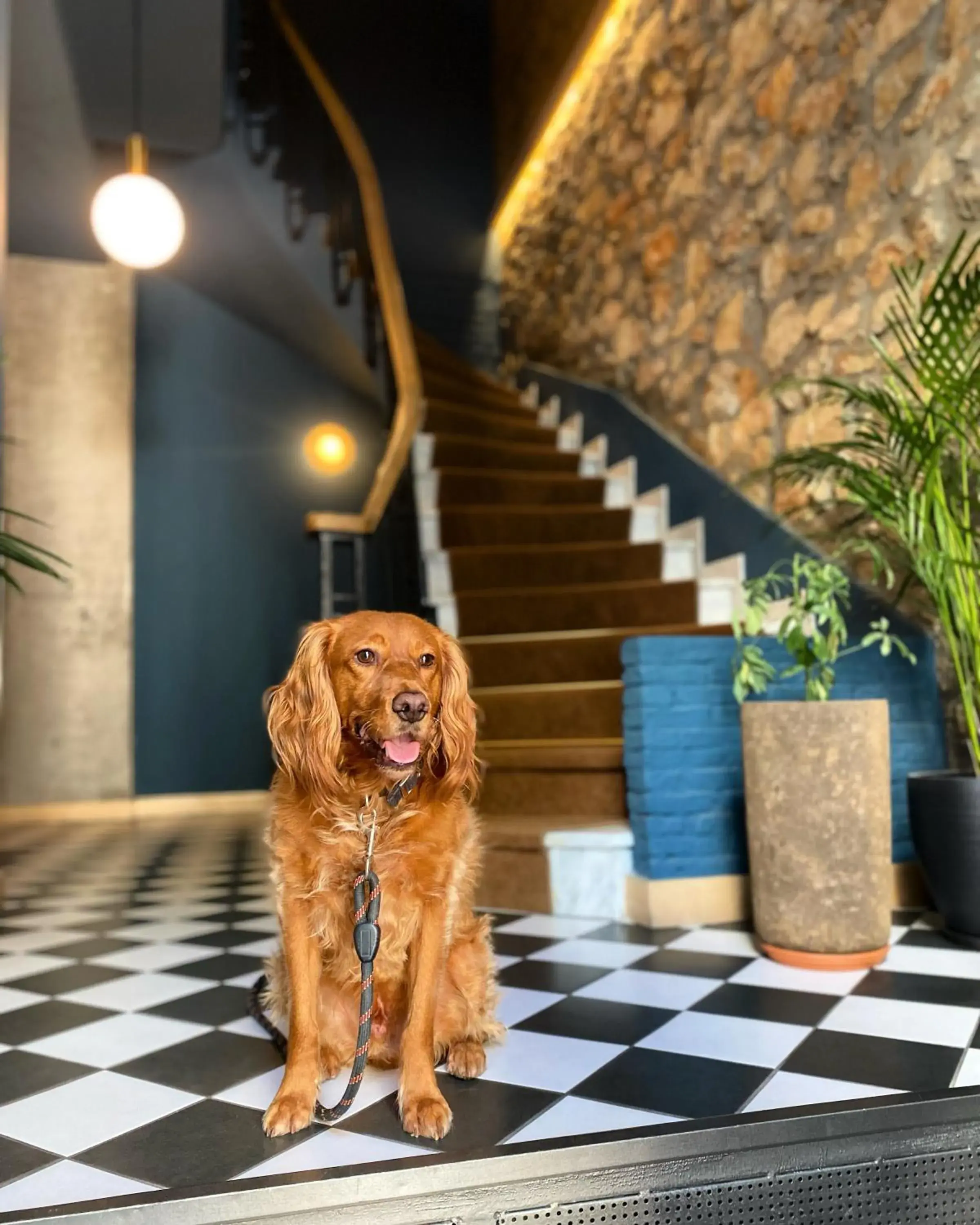 Lobby or reception in Cohort Koukaki Lobby or reception in Cohort Koukaki