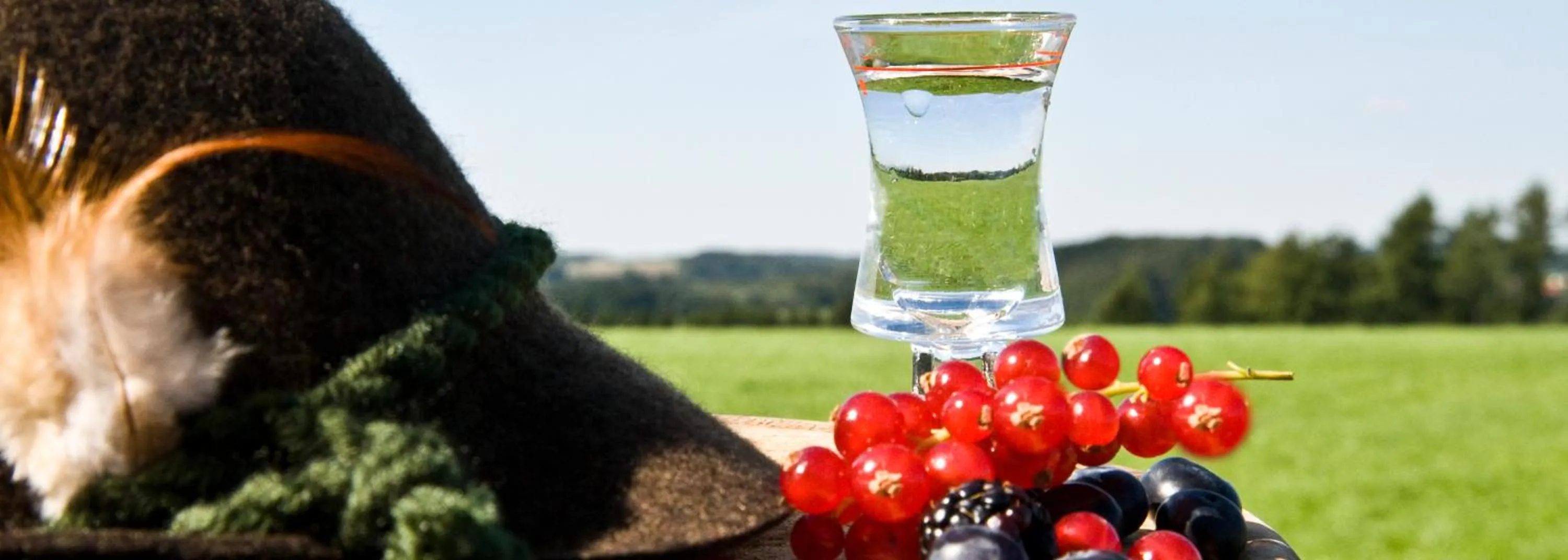 Hiking in Landhotel Napoleon