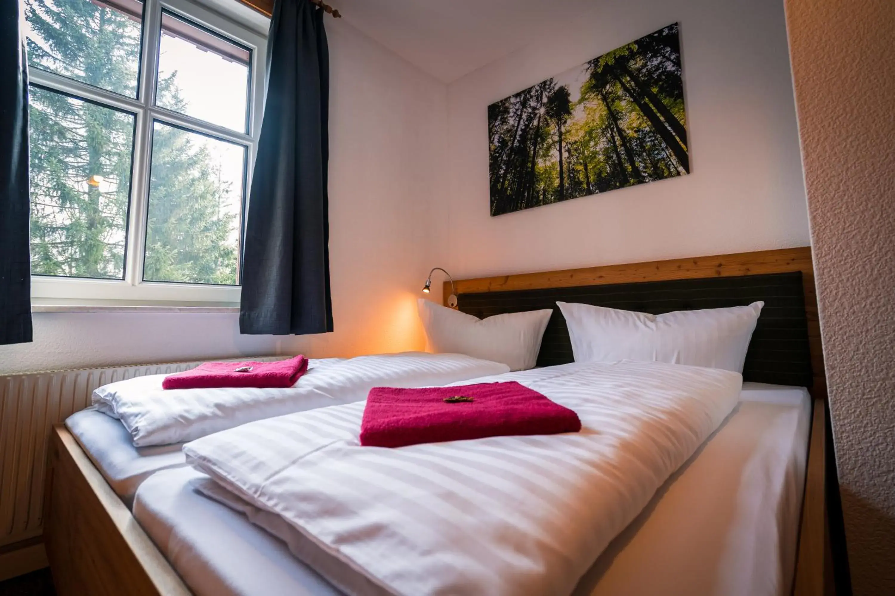 Double Room - single occupancy in Berghotel Bärenstein Double Room - single occupancy in Berghotel Bärenstein