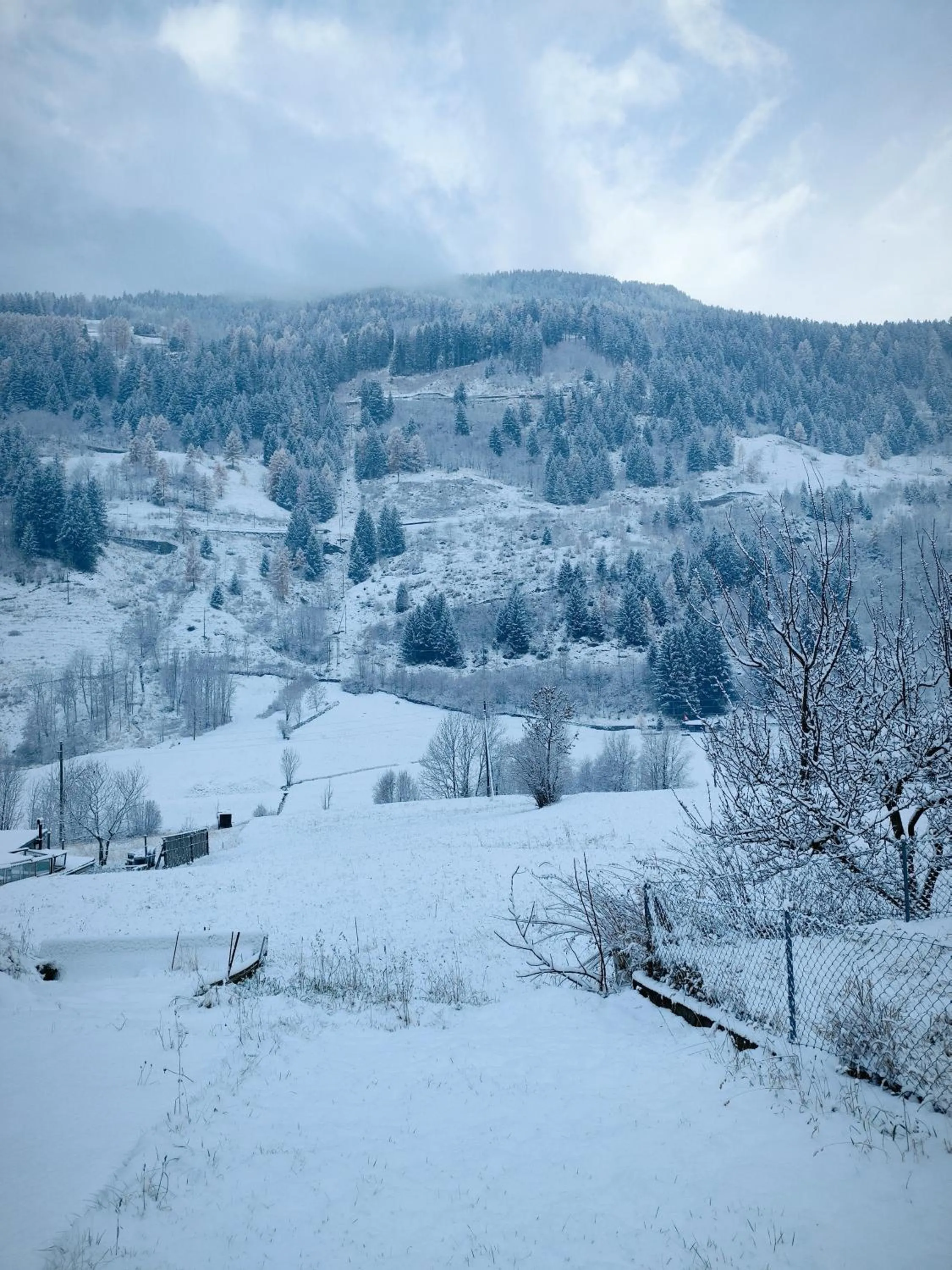 B&B Berninapass- Bernina Experience