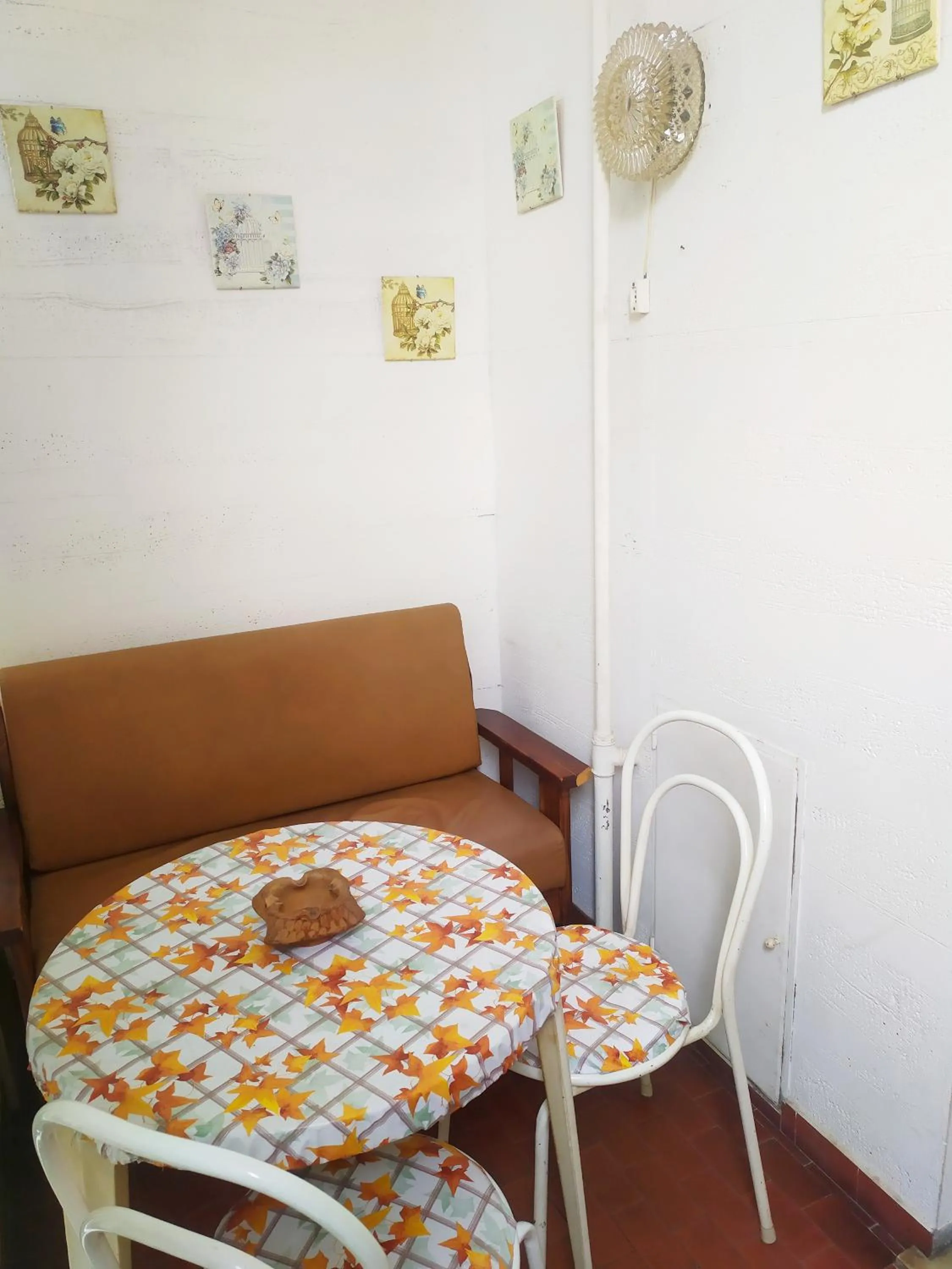 Area and facilities in Hotel Serenella