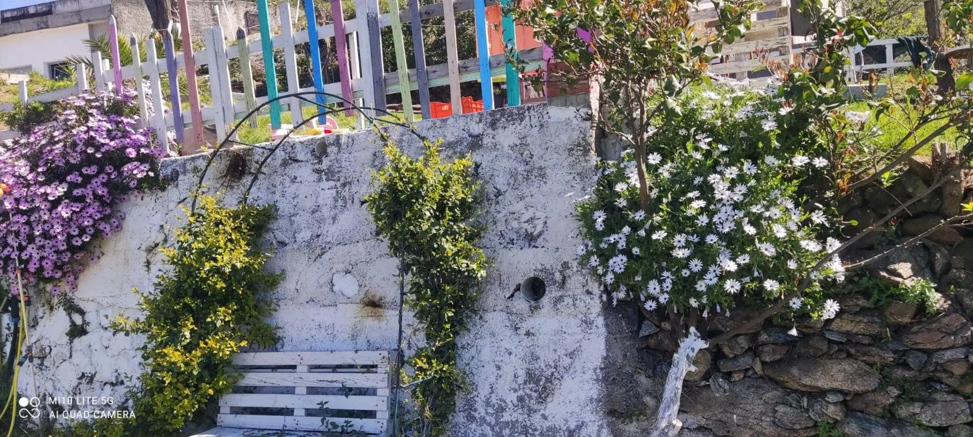 Spring in Agrifazenda