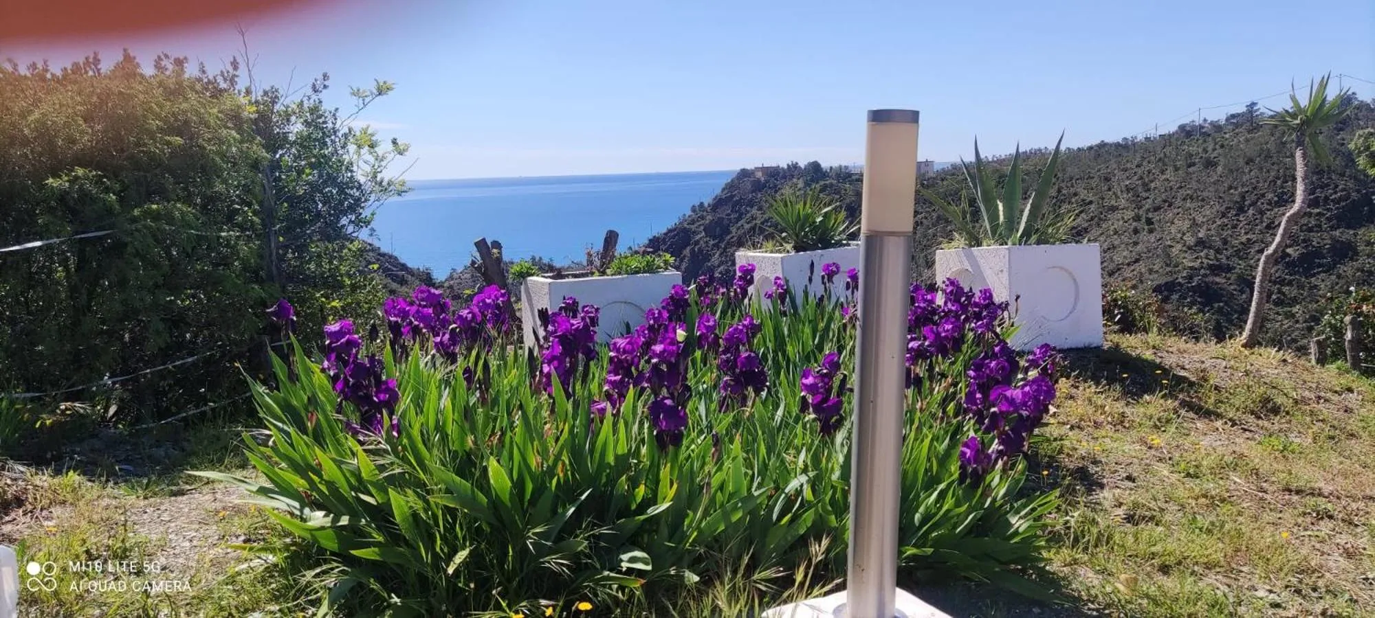 Garden in Agrifazenda