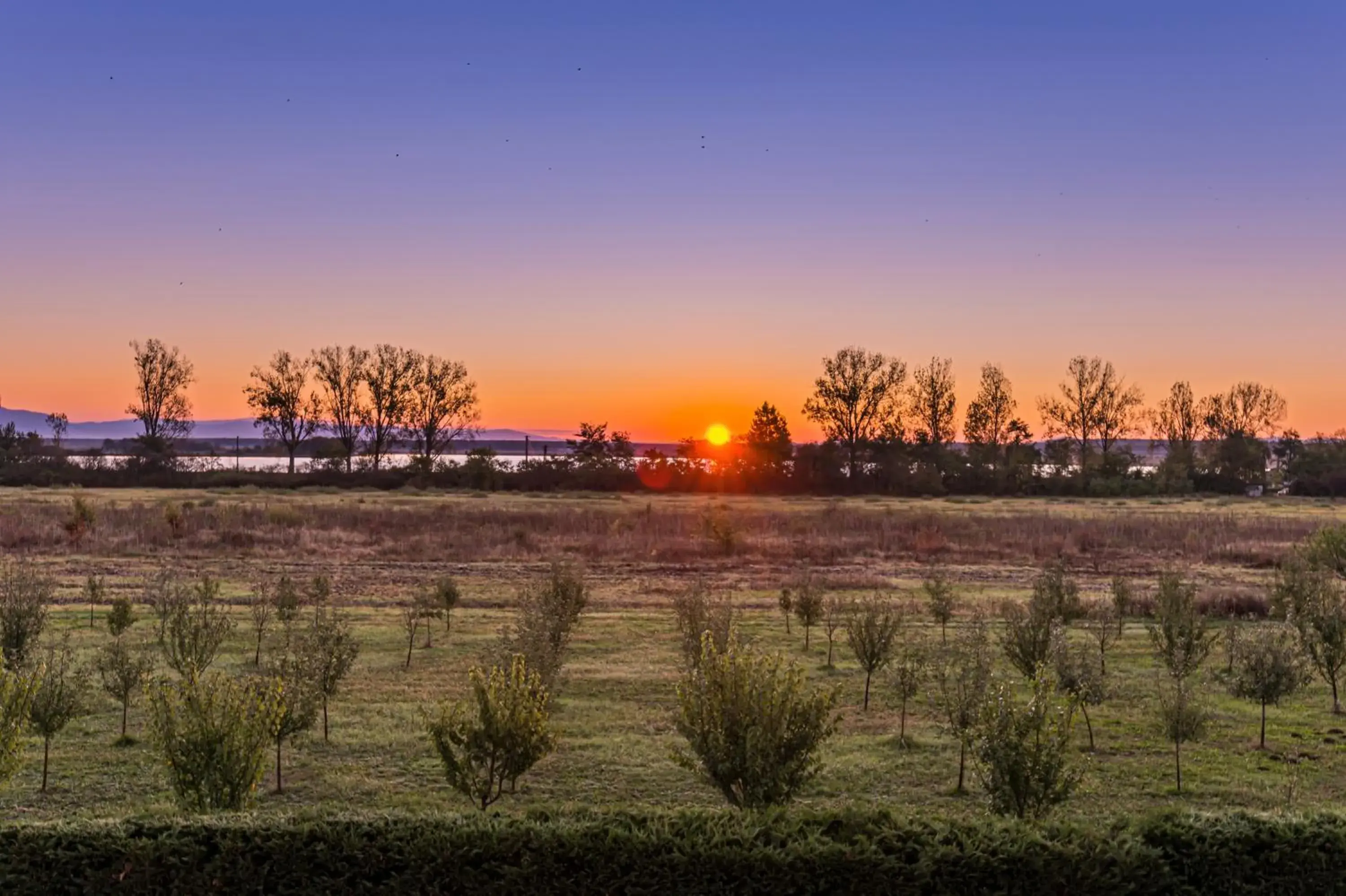 View (from property/room) in Stejarii Resort View (from property/room) in Stejarii Resort