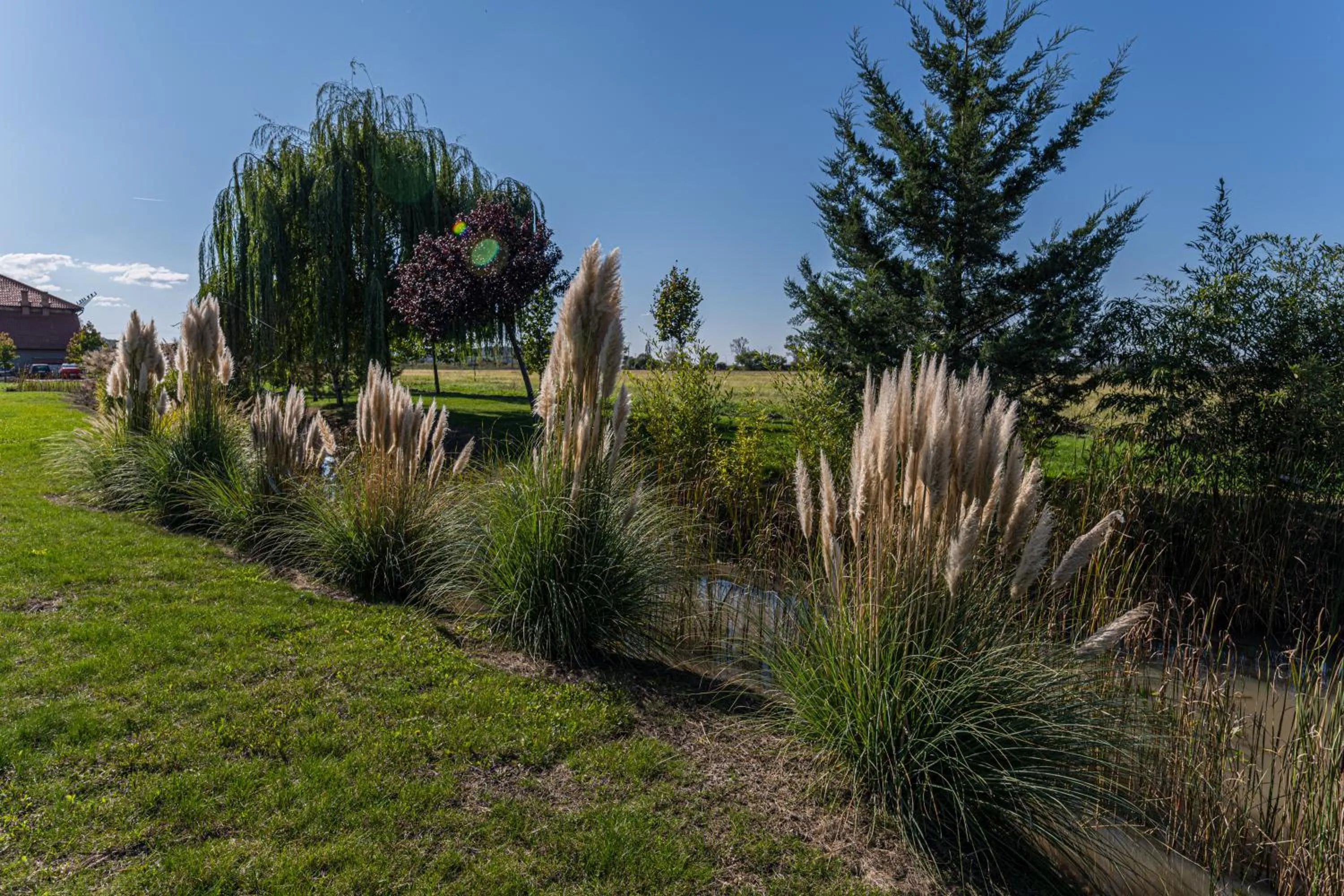 Garden in Stejarii Resort