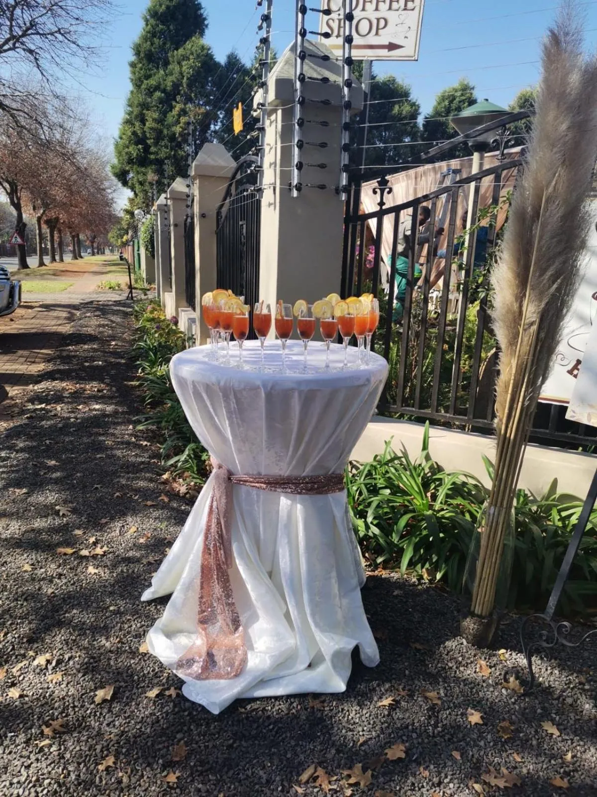 Garden view in Oregon Place Guest House
