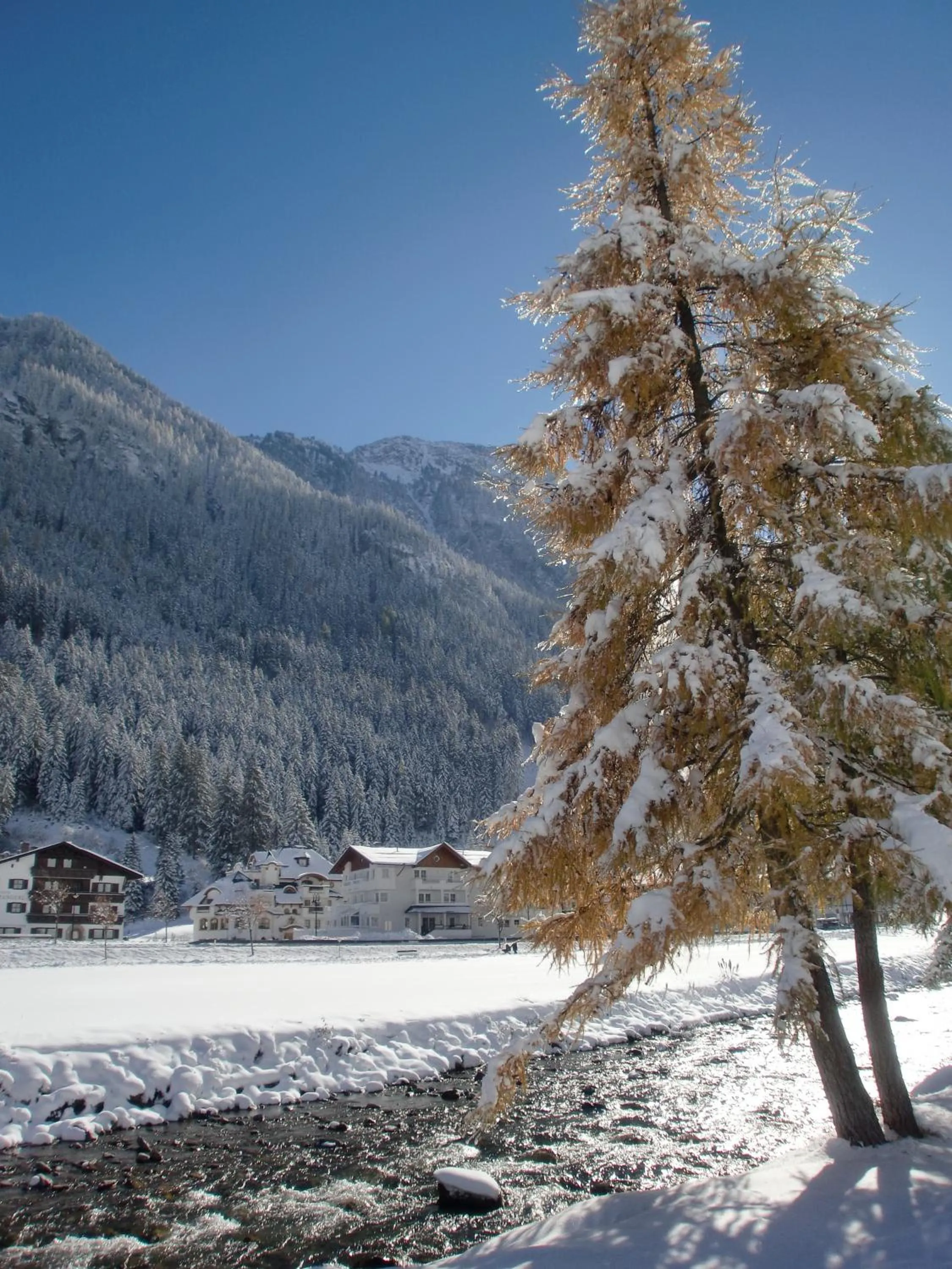 Facade/entrance in Hotel Garni Schmid