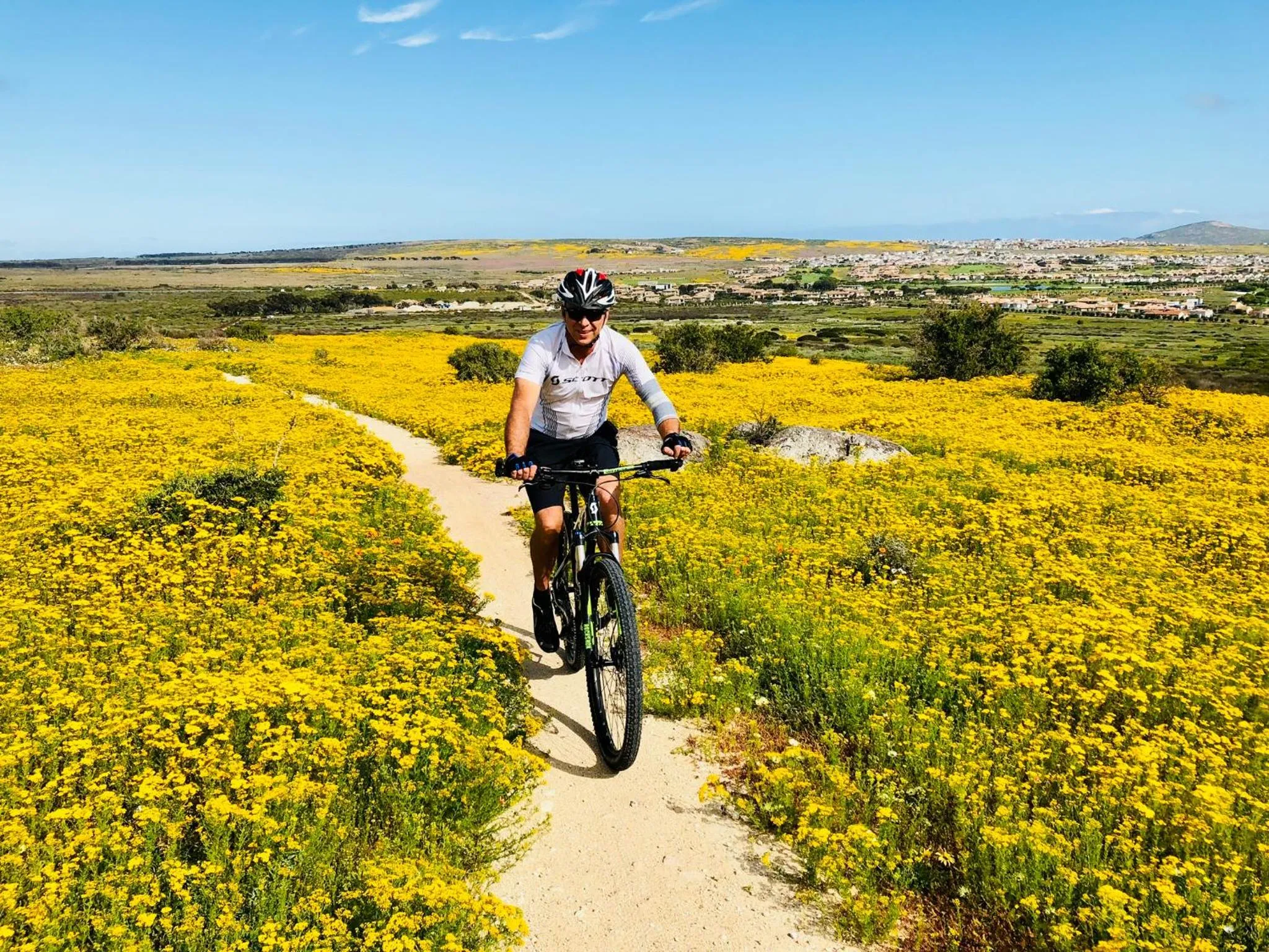 Spring in Sandra's Guest House