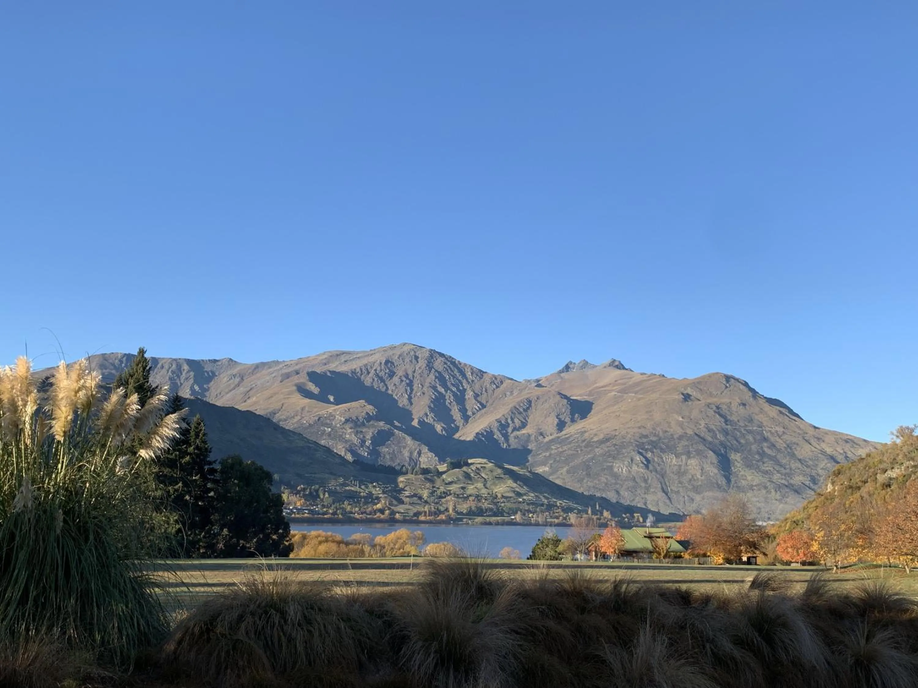 Tussock Cottage