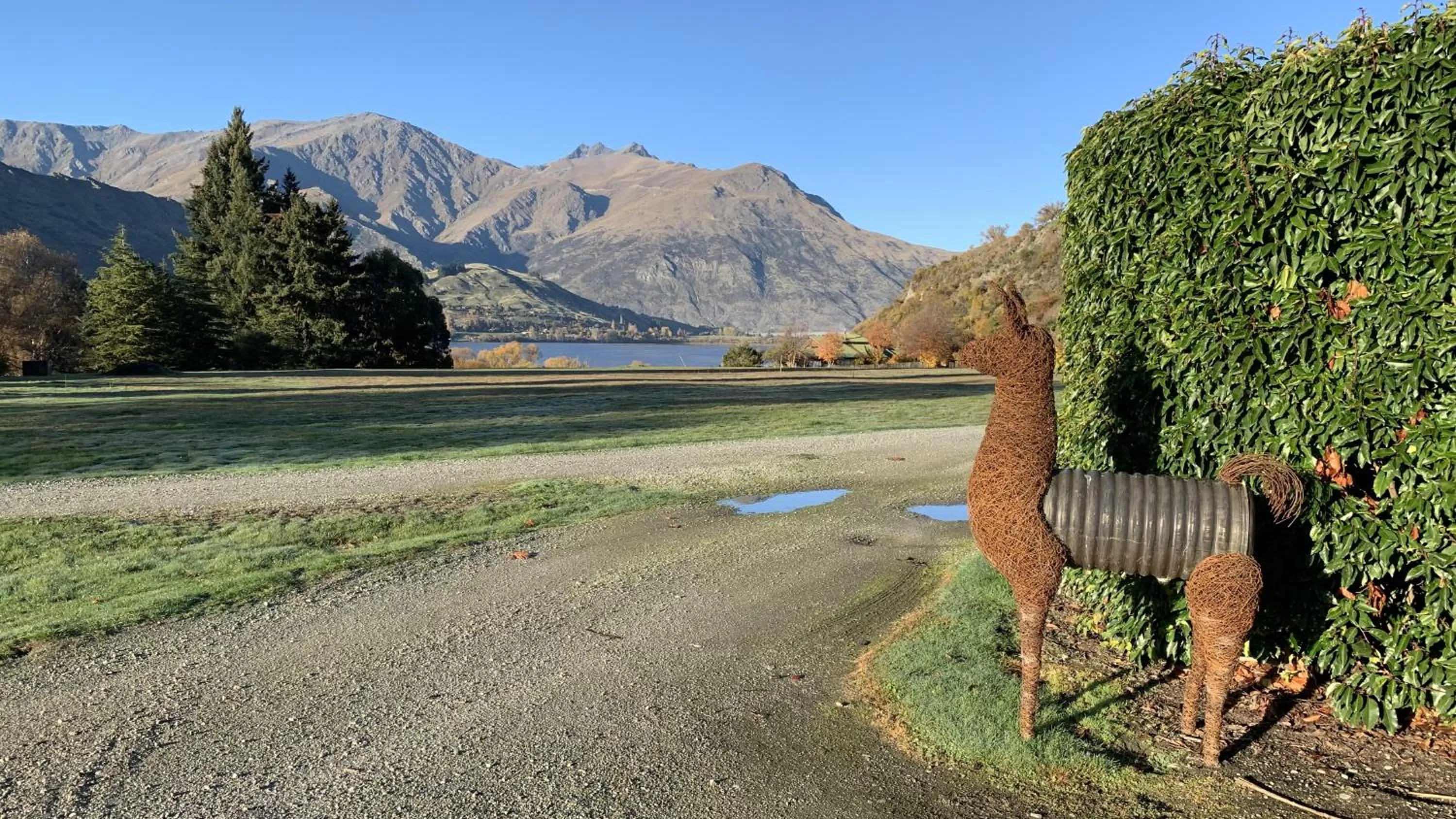 Tussock Cottage