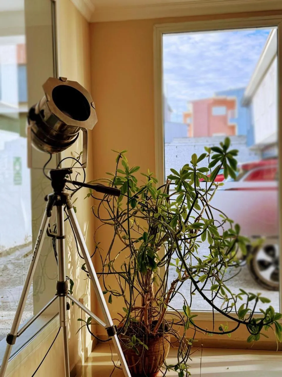 Living room in Hotel Aire de Patagonia