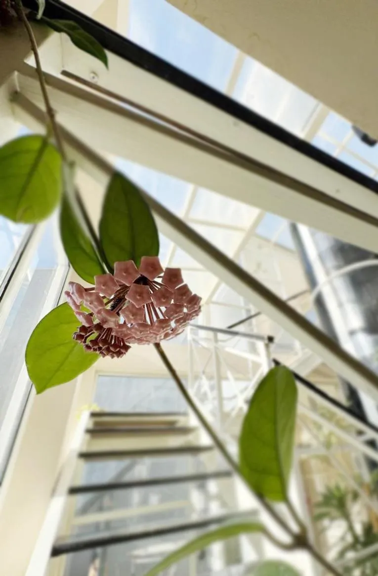 Living room in Hotel Aire de Patagonia