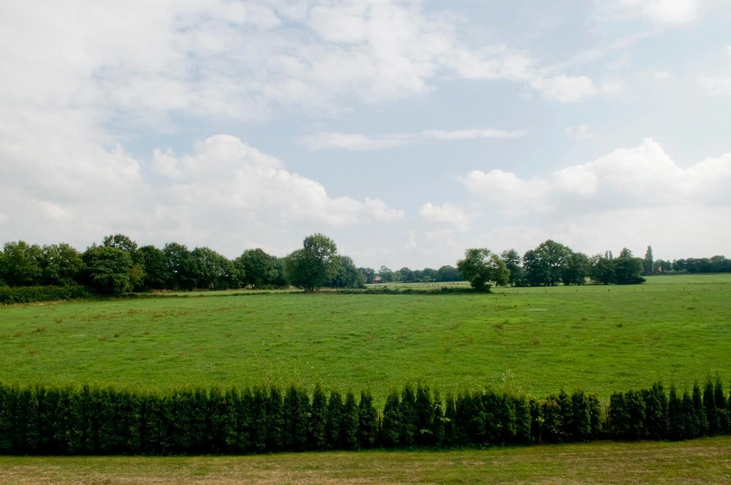 View (from property/room) in Upstalsboom Varel-Dangast
